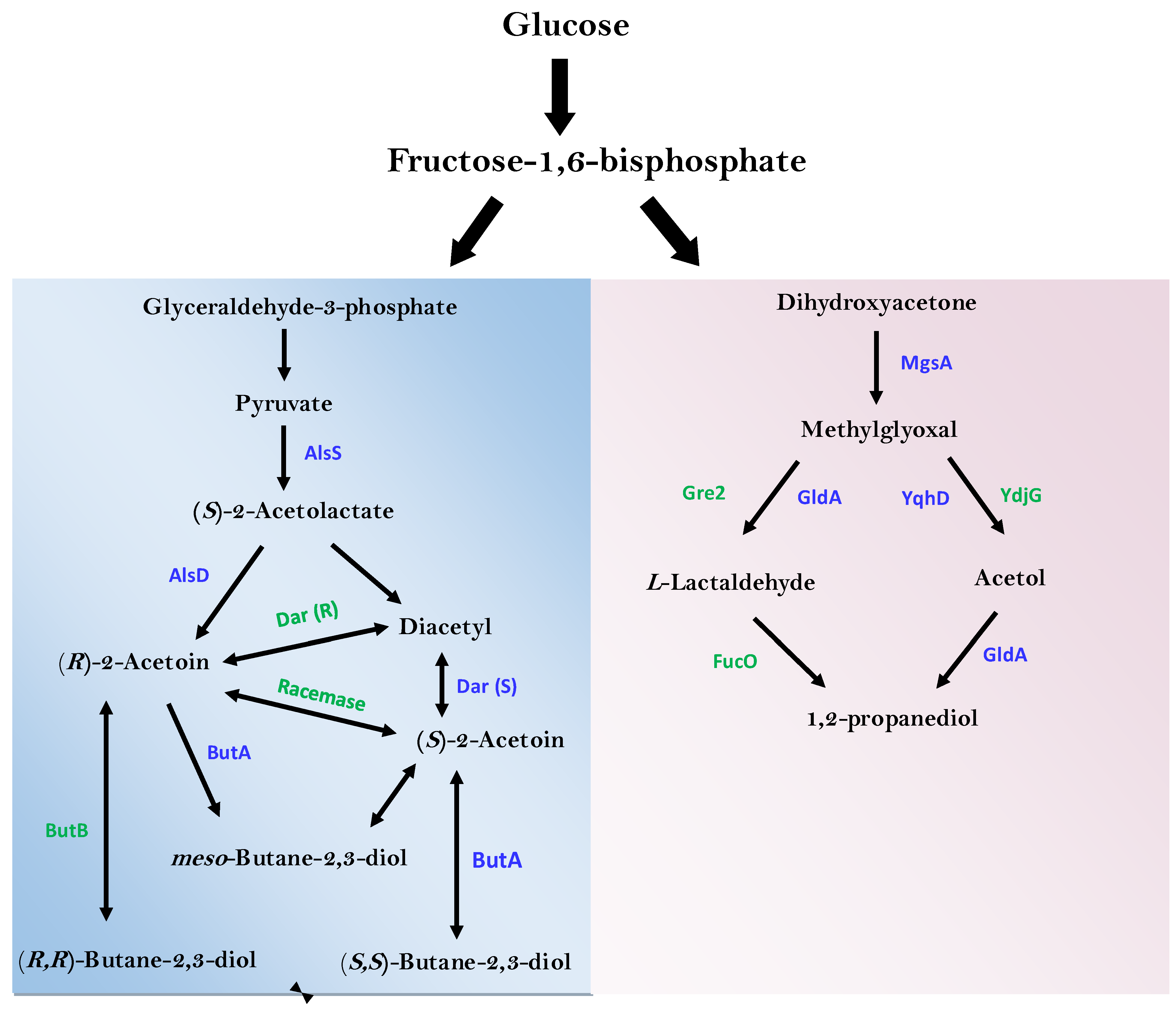 Bioengineering 10 01090 g008 Bioengineering 10 01090 g008