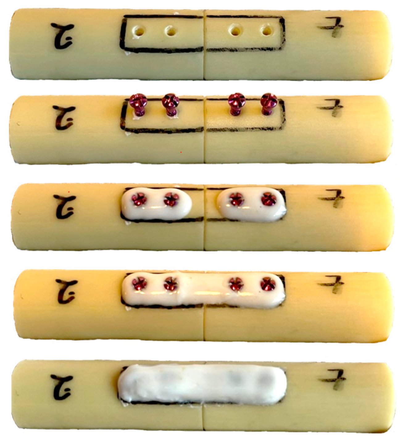 Bioengineering 10 01146 g001