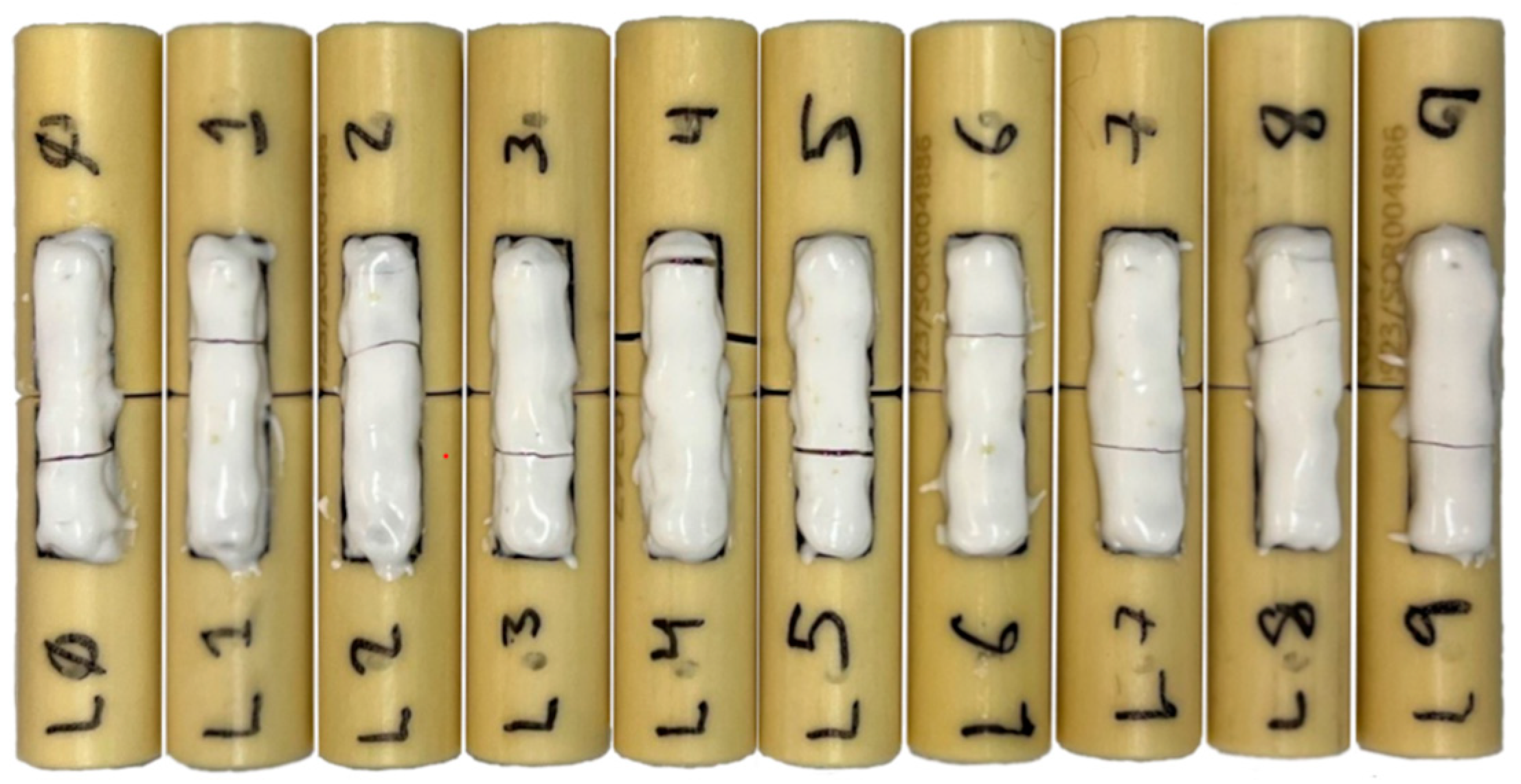 Bioengineering 10 01146 g004