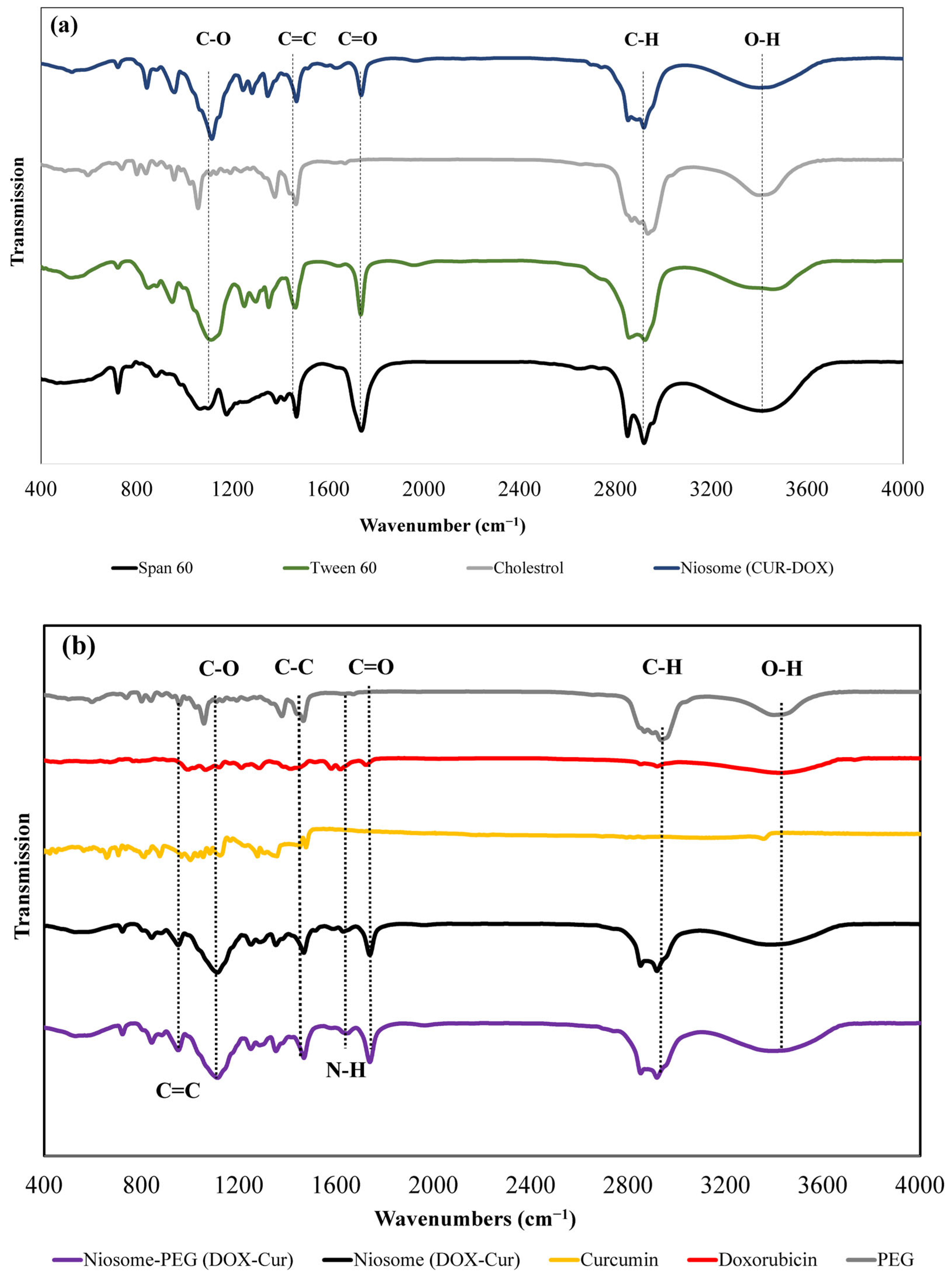 Bioengineering 10 01159 g001