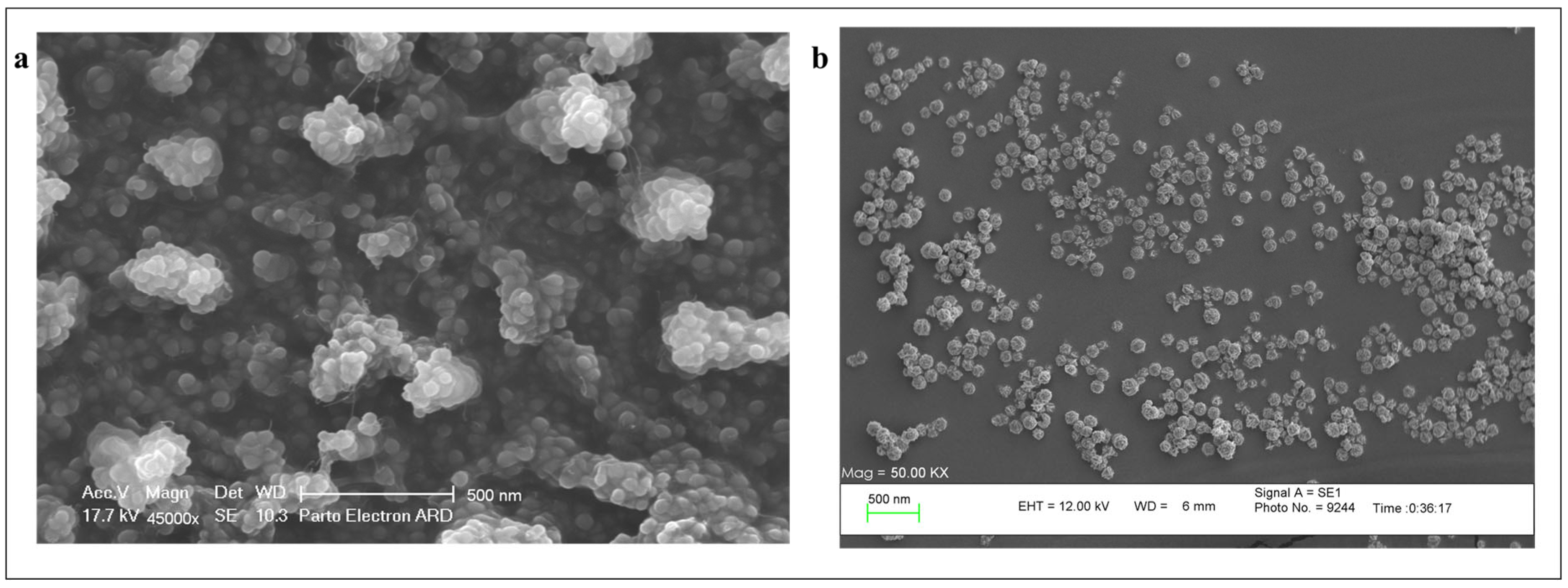 Bioengineering 10 01159 g002