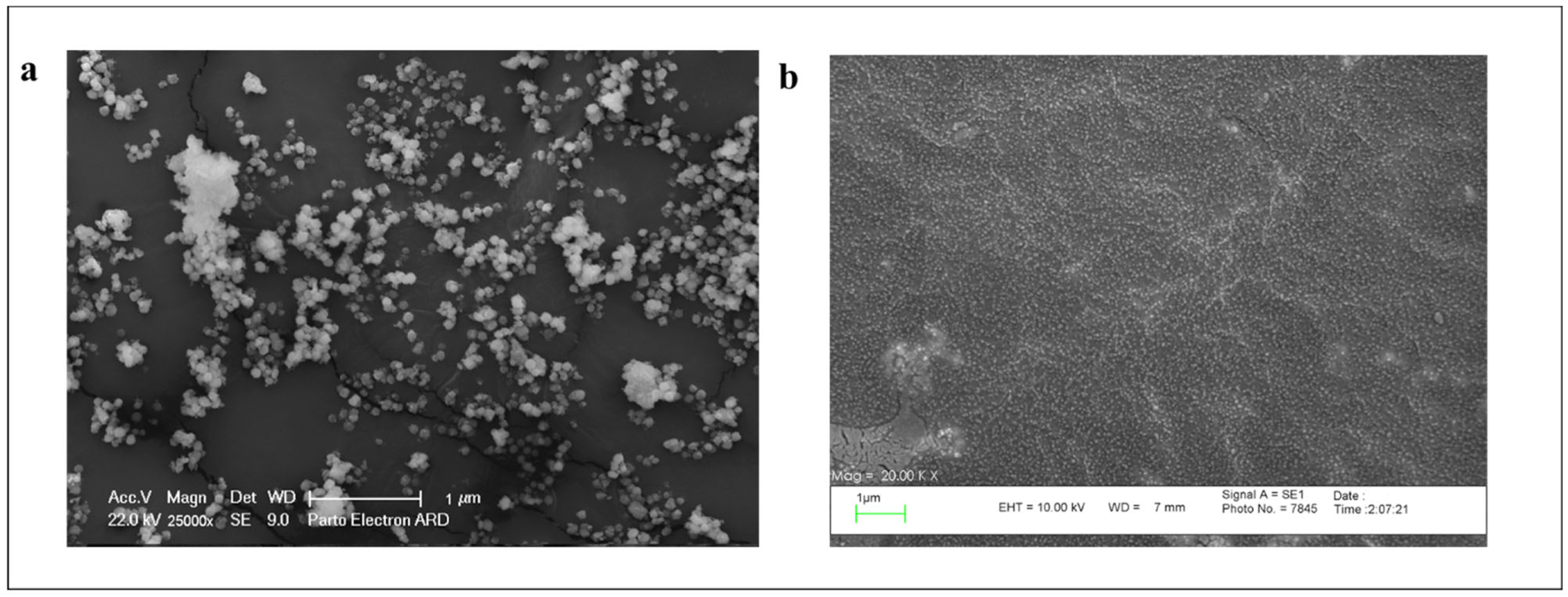 Bioengineering 10 01159 g003