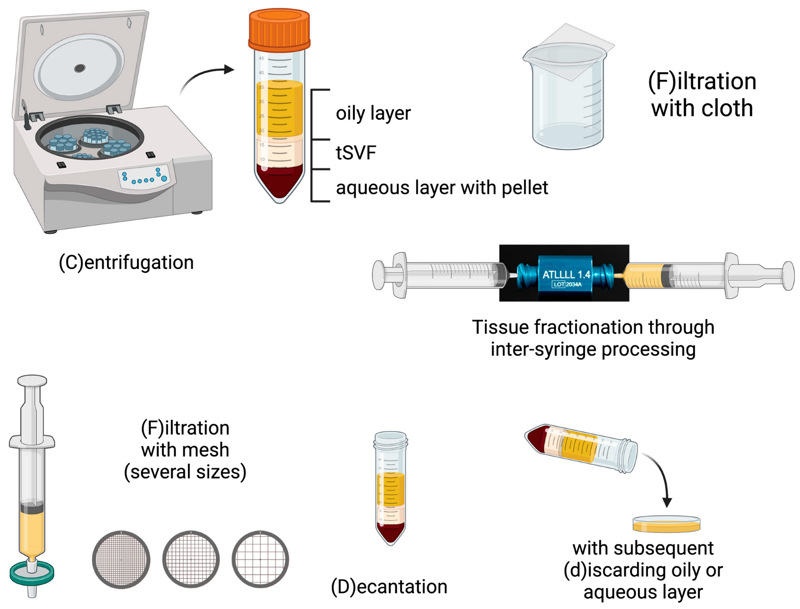 Bioengineering 10 01175 i001