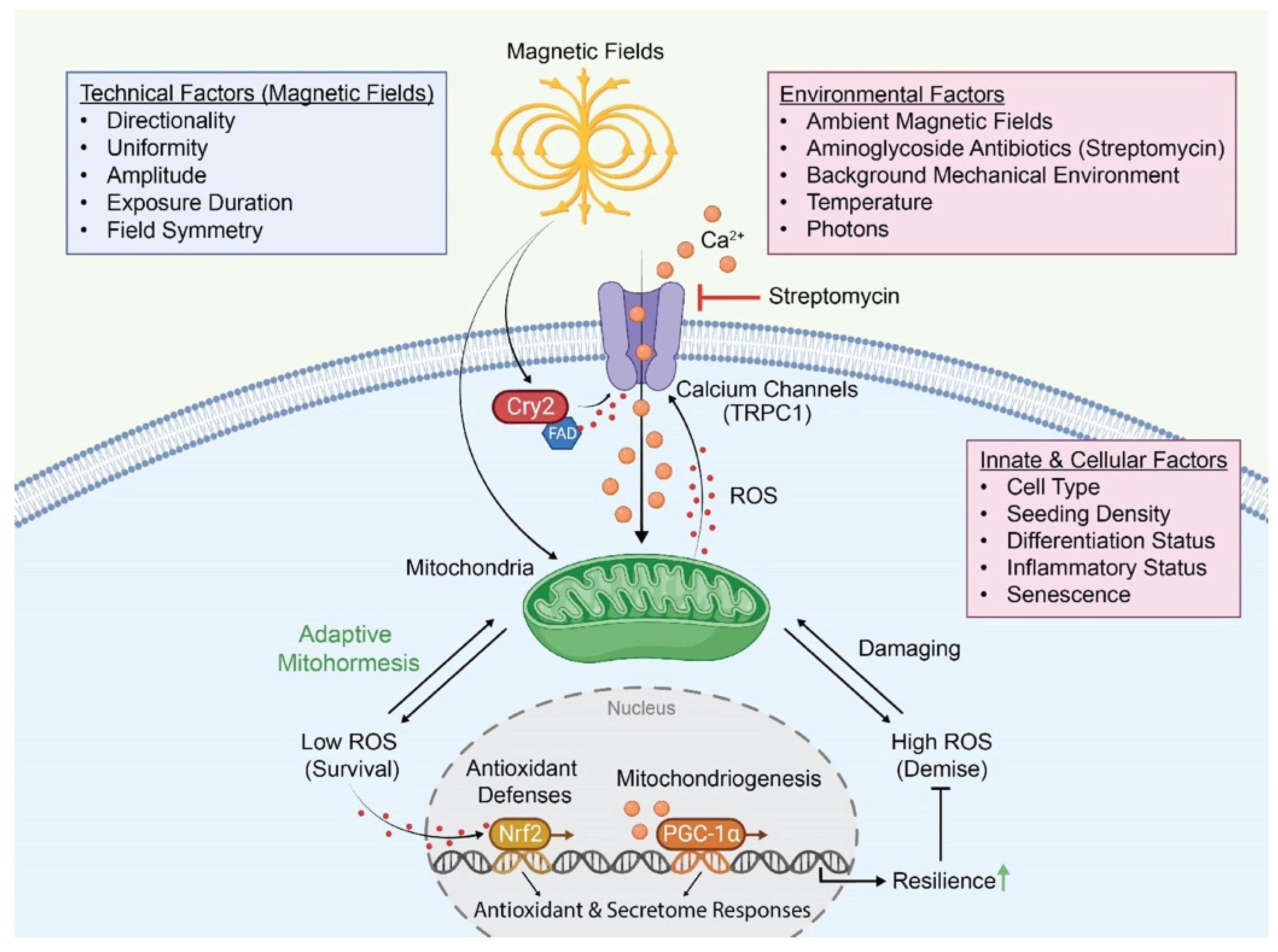 Bioengineering 10 01176 g003 Bioengineering 10 01176 g003