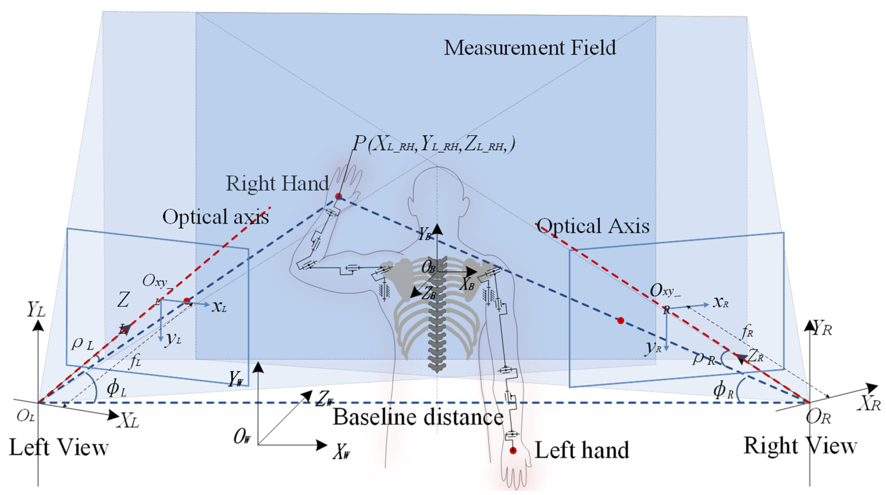 Bioengineering 10 01191 g002