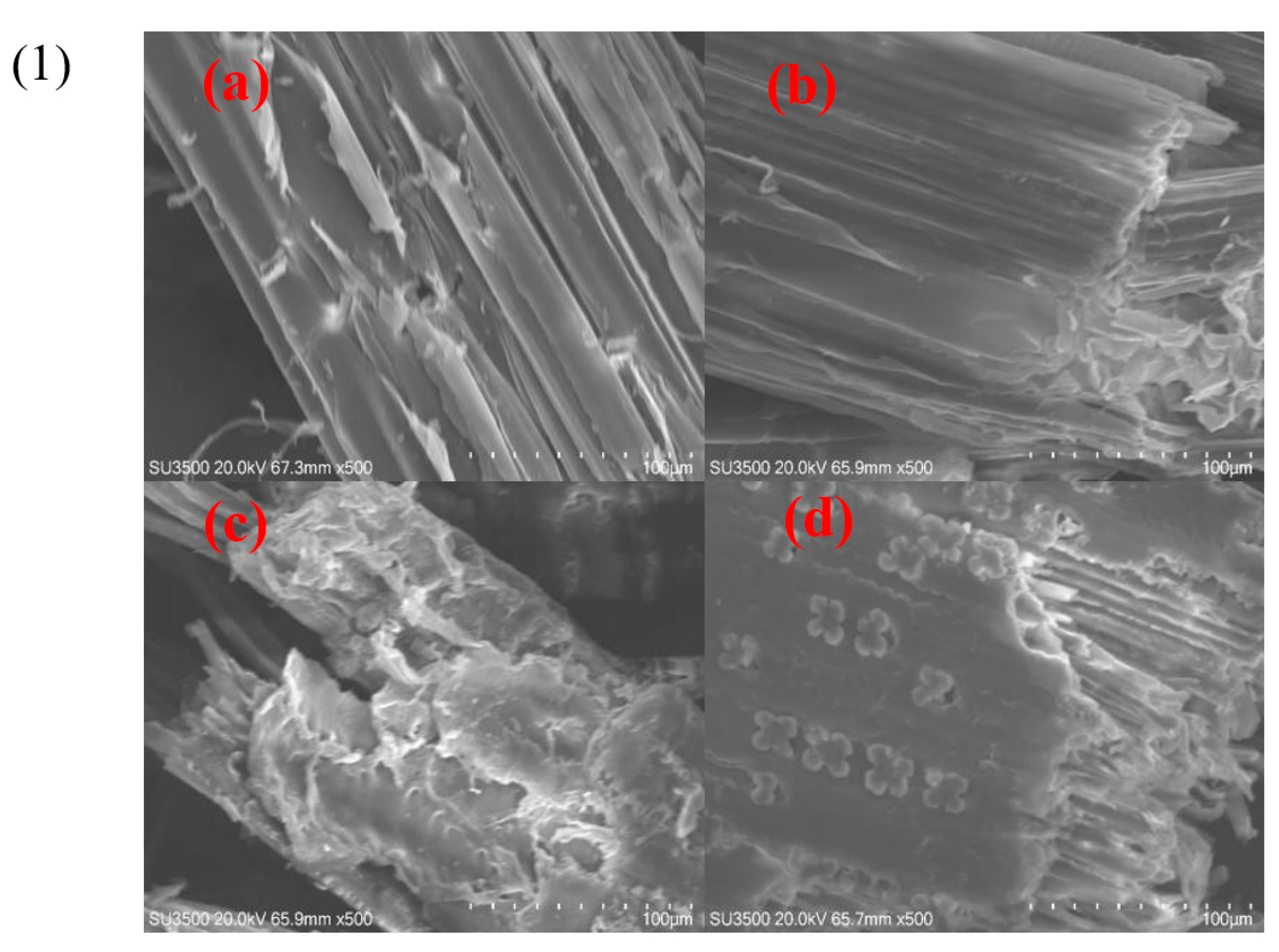 Bioengineering 10 01197 g005a
