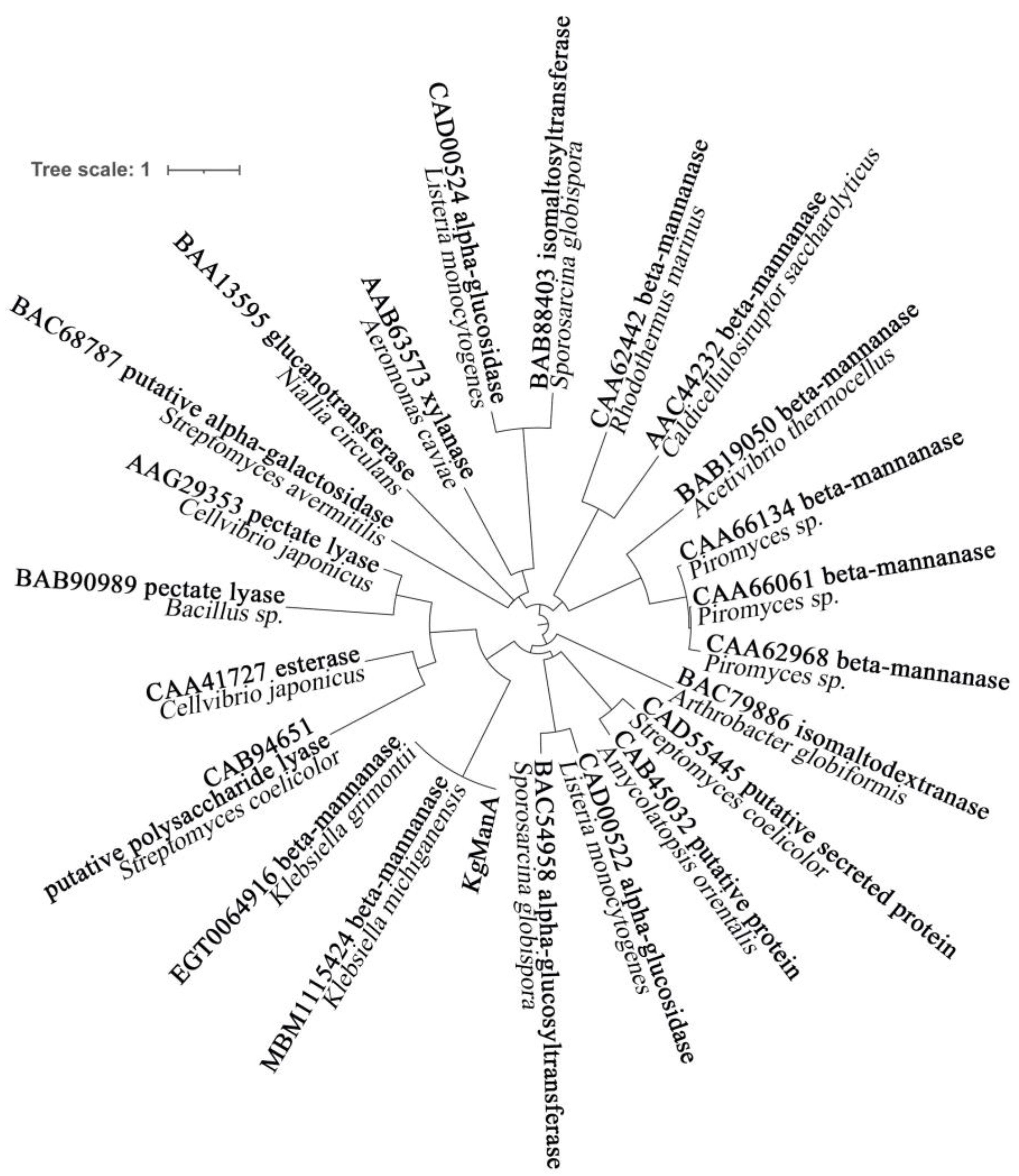 Bioengineering | Free Full-Text | Identification and