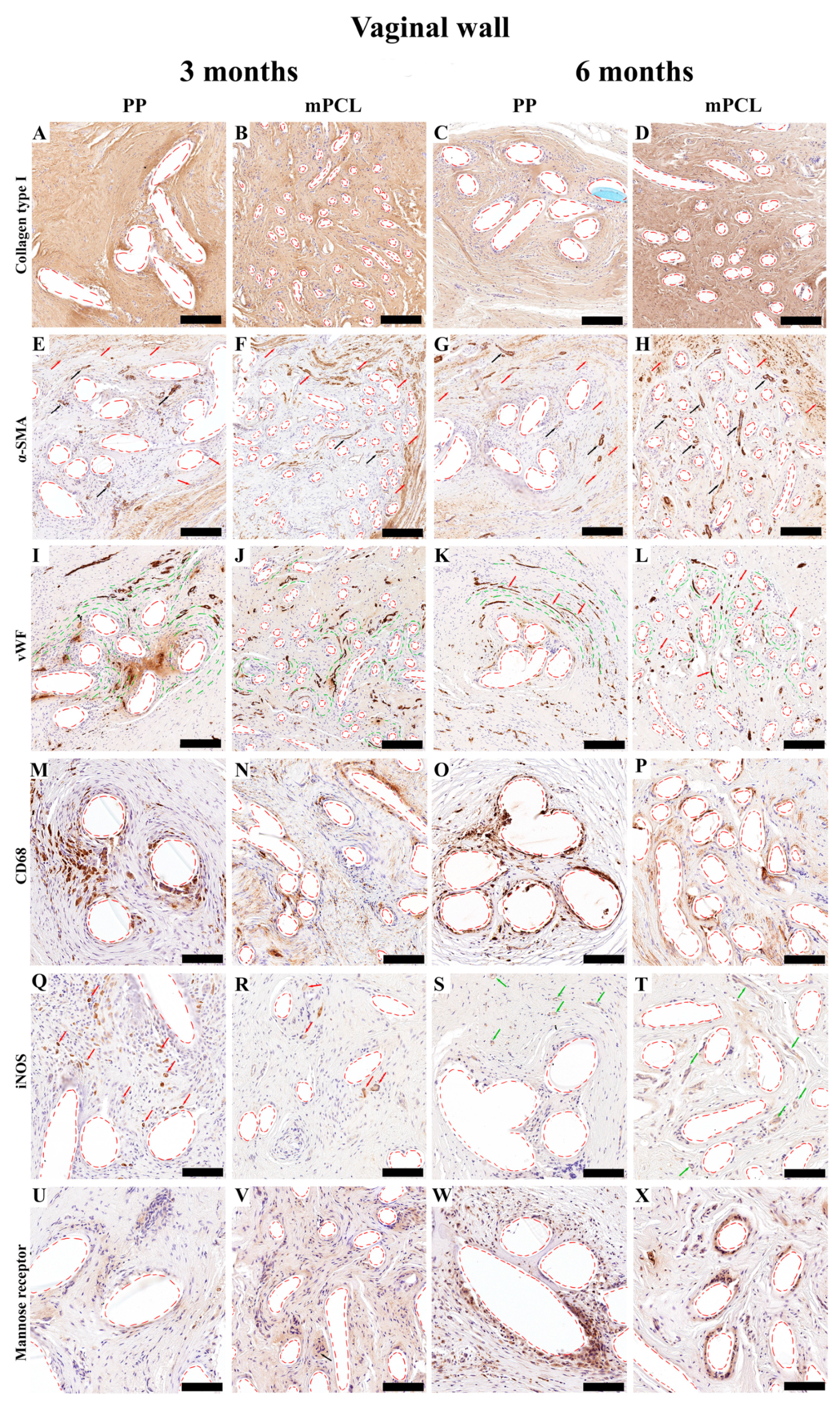 Bioengineering 10 01242 g004