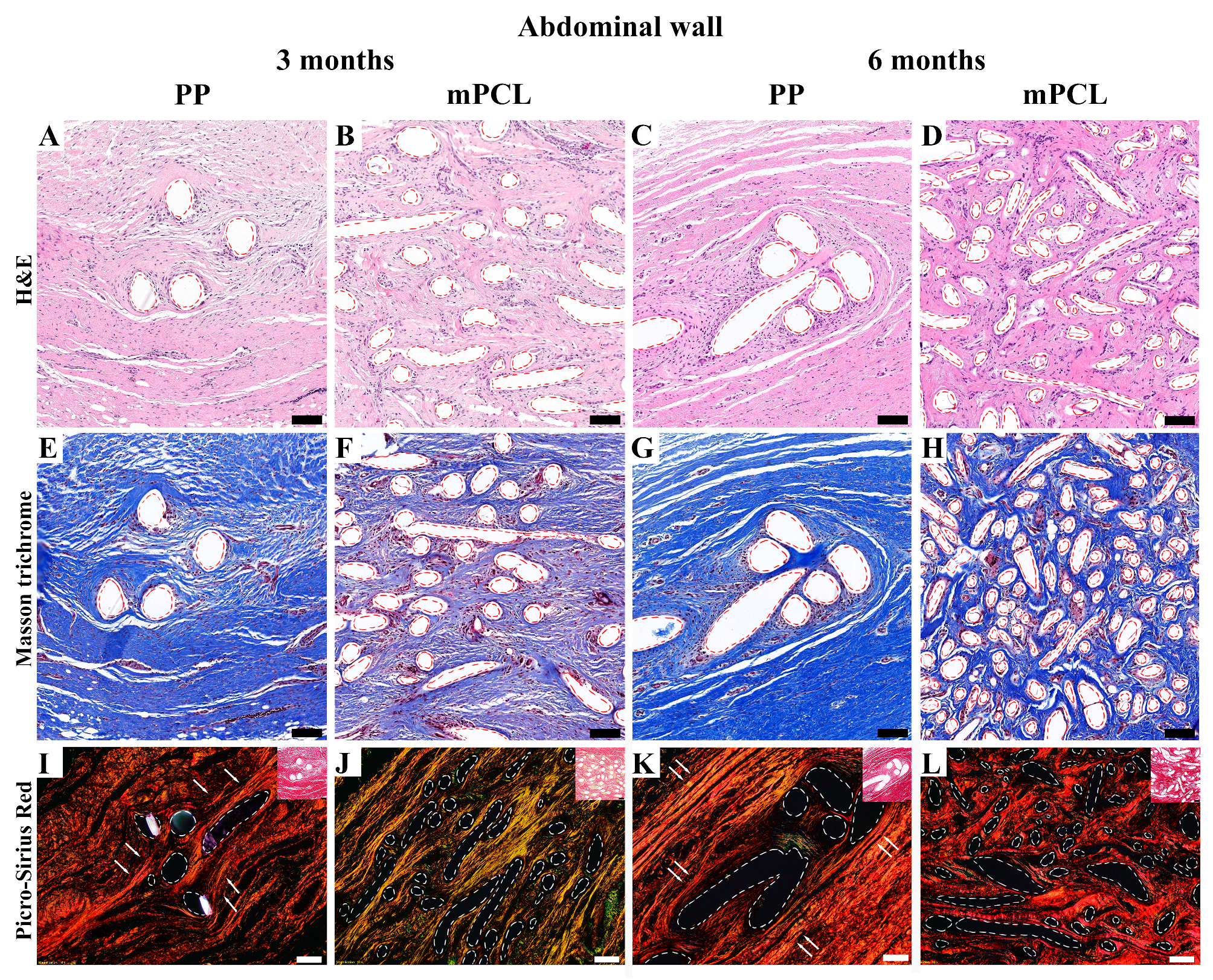 Bioengineering 10 01242 g006