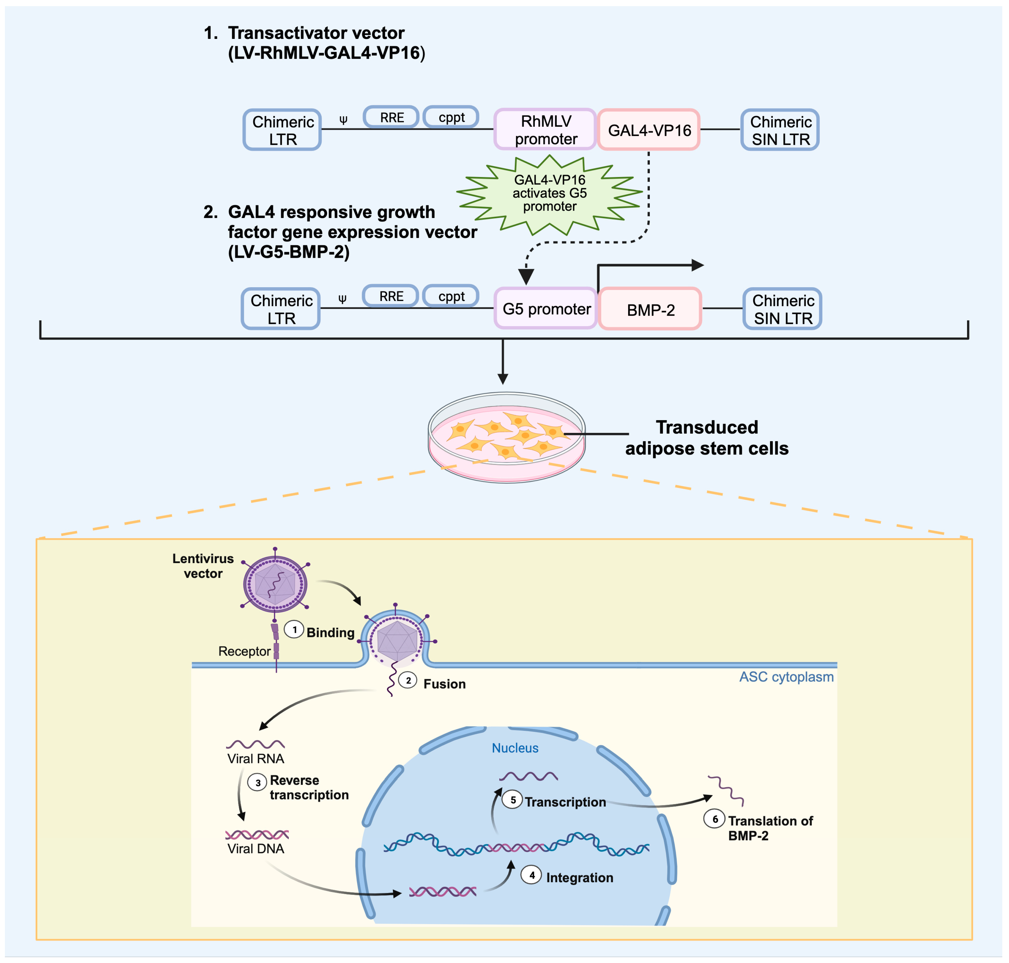 Bioengineering, Free Full-Text