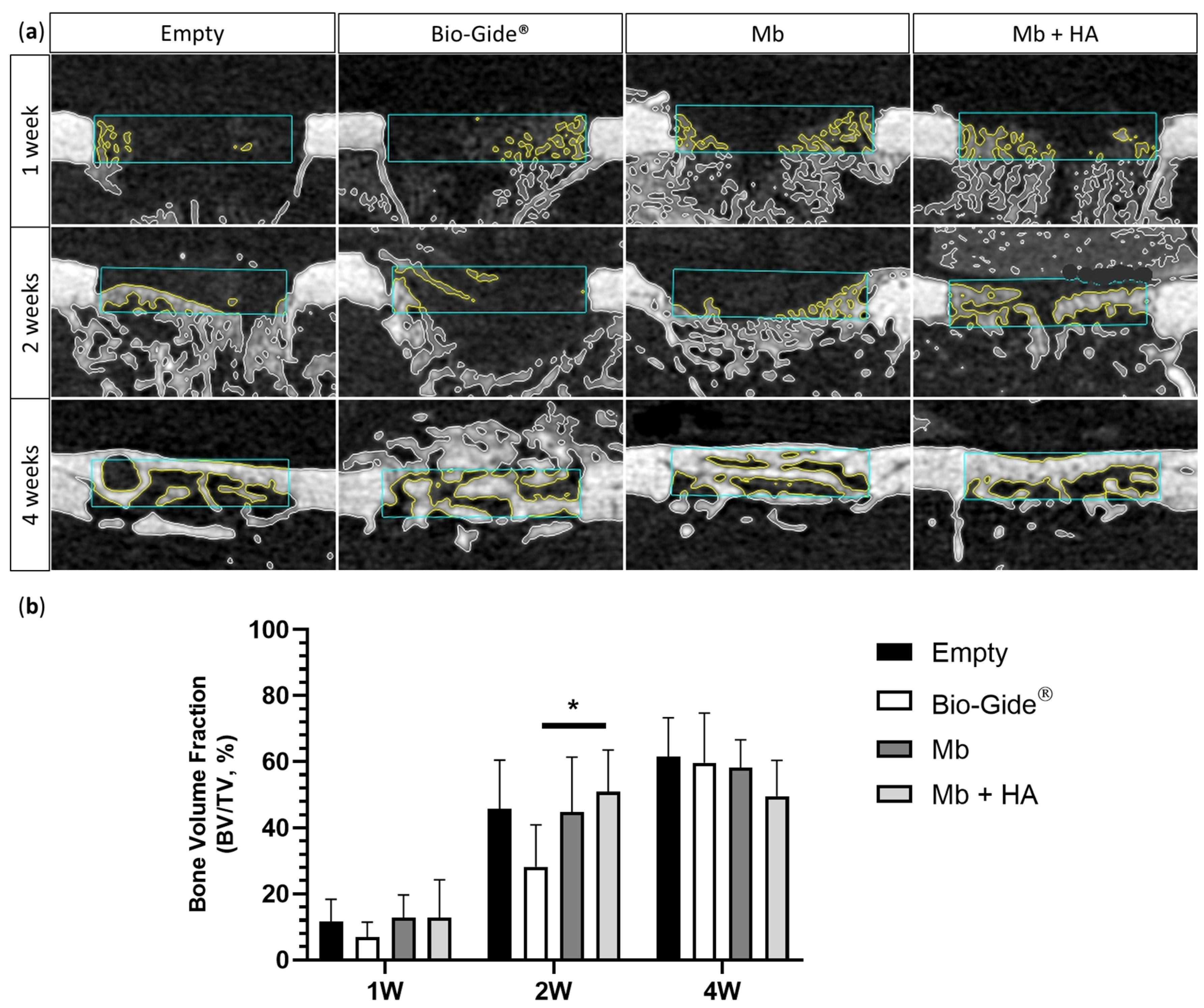 Bioengineering 10 01257 g004