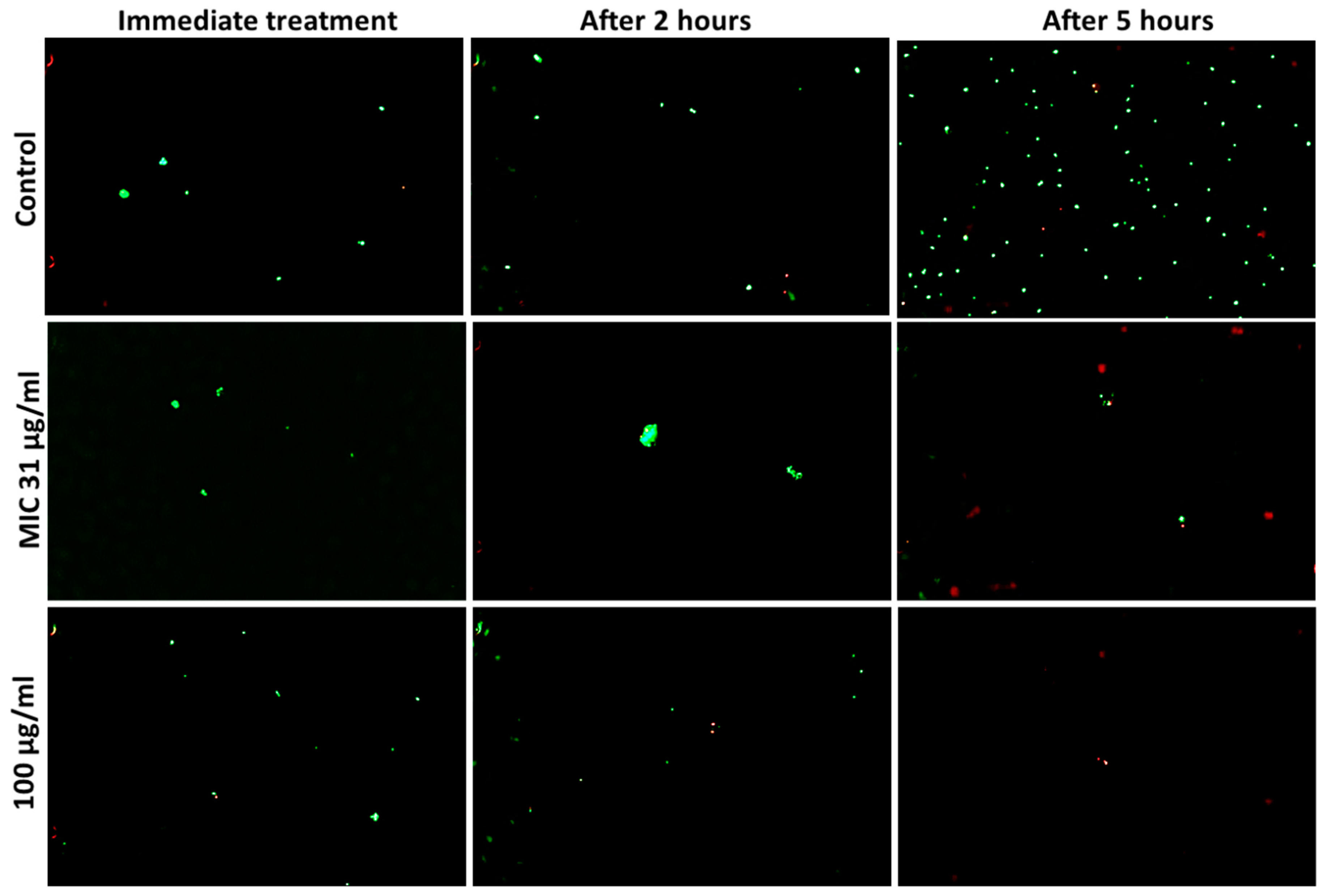 Bioengineering 10 01259 g005