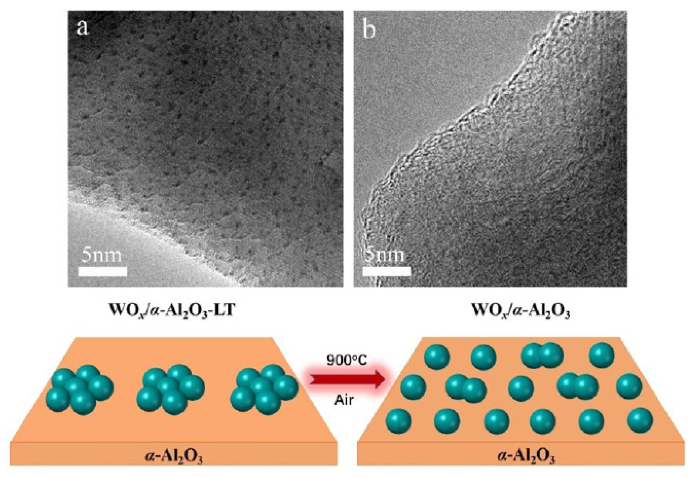 Bioengineering 10 01264 g010