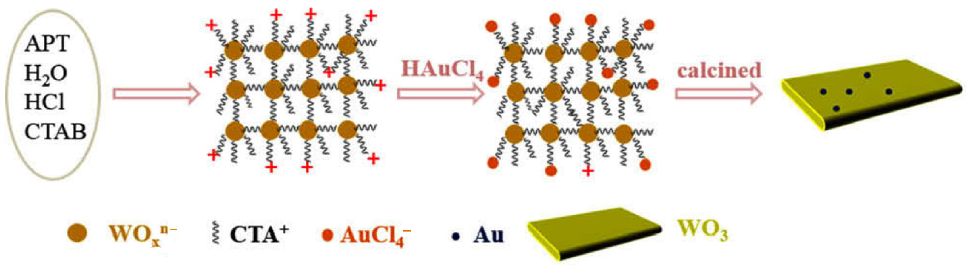 Bioengineering 10 01264 g014