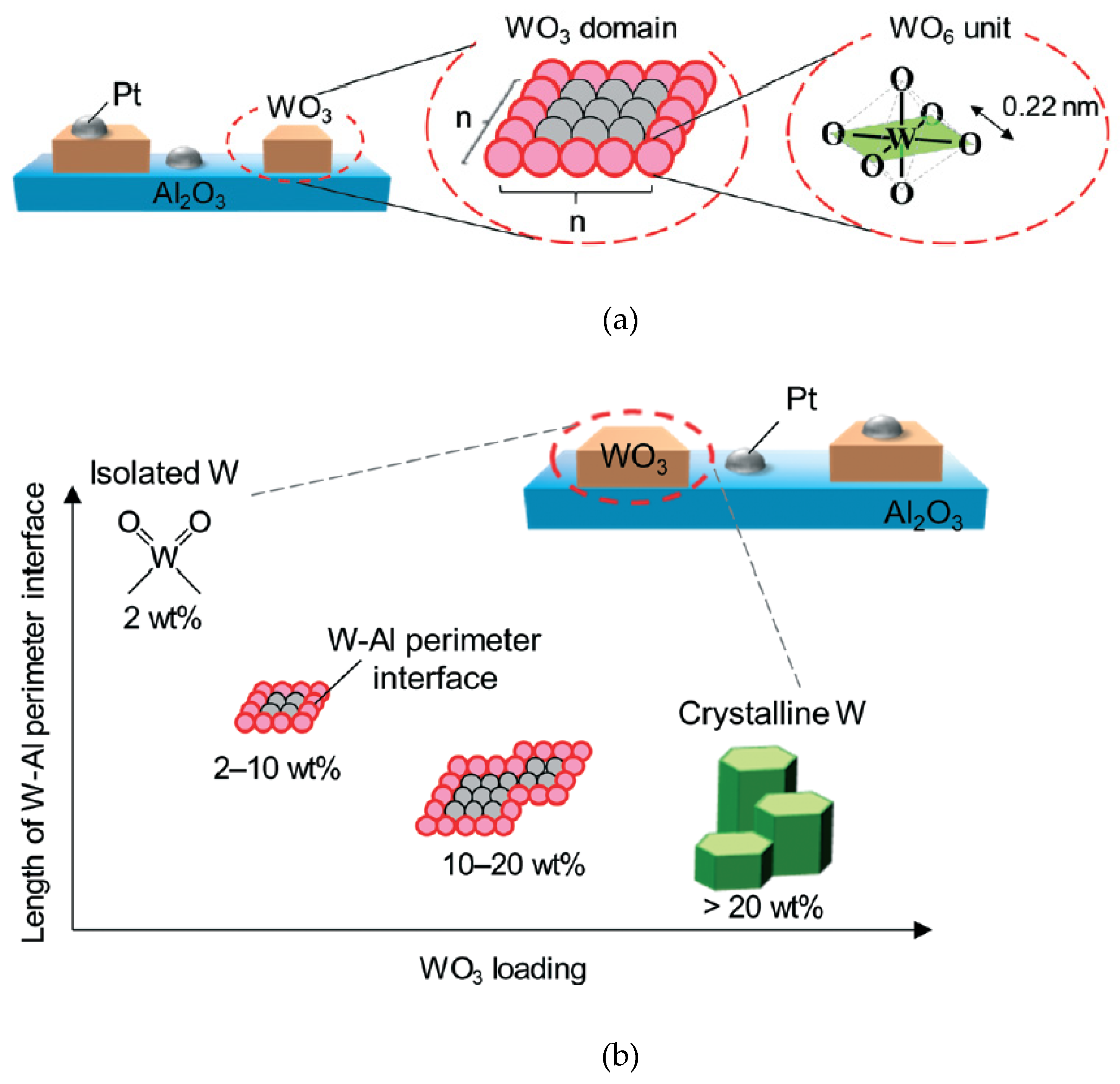 Bioengineering 10 01264 g015