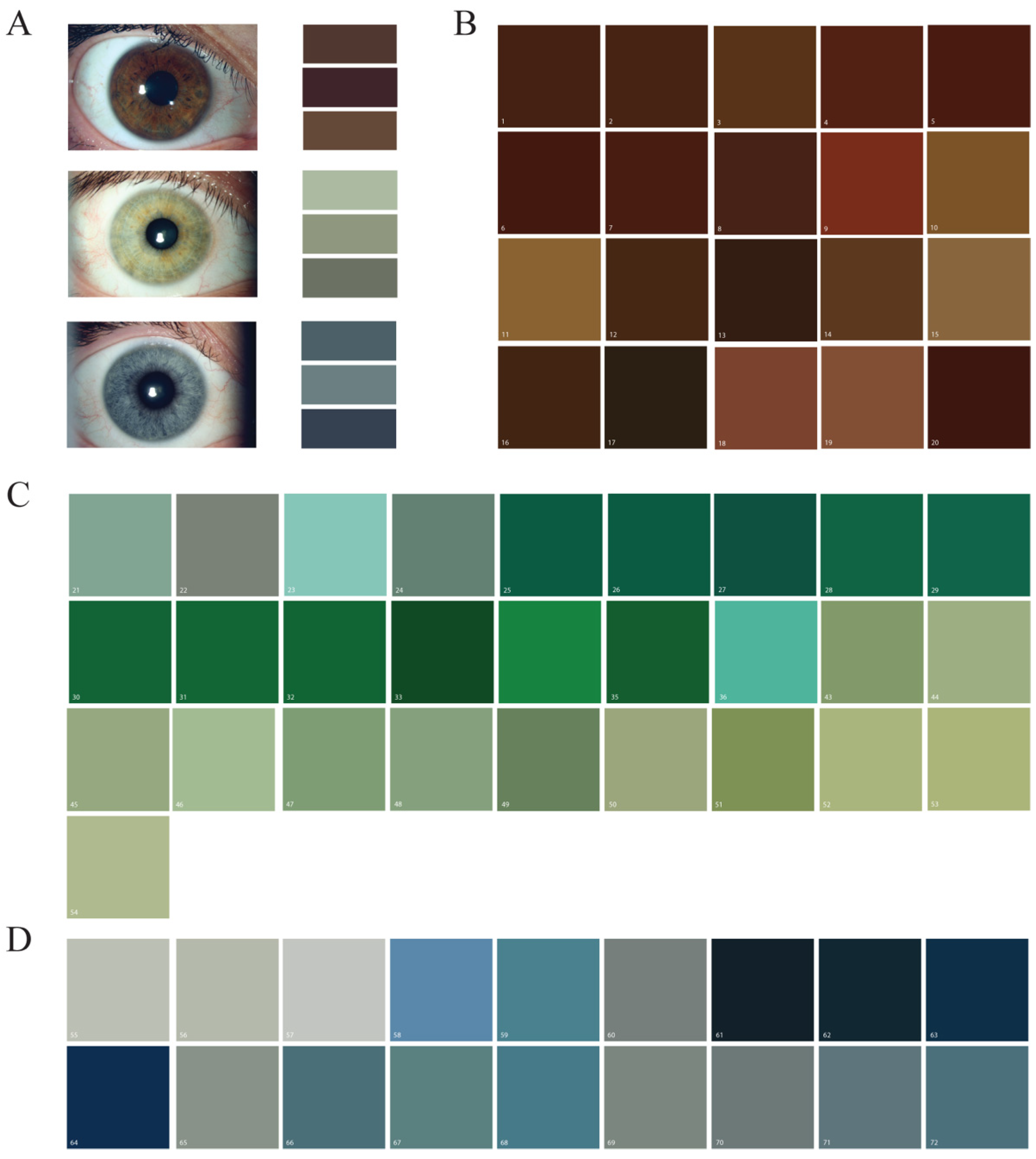 Bioengineering 10 01287 g002 Bioengineering 10 01287 g002