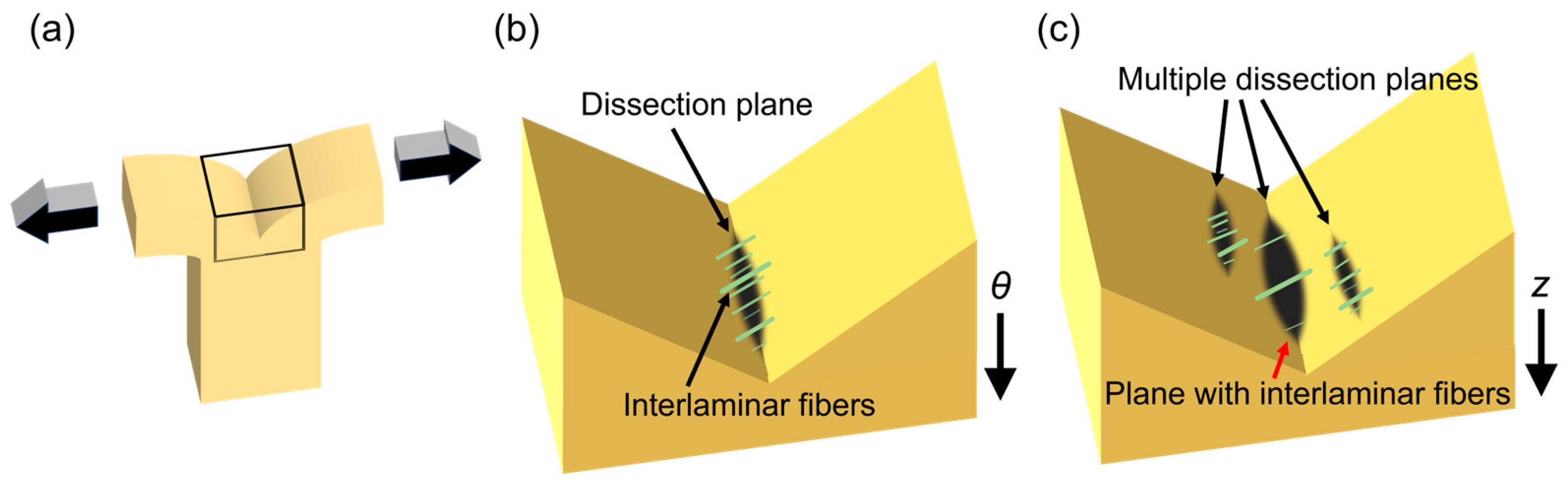 Bioengineering 10 01292 g009