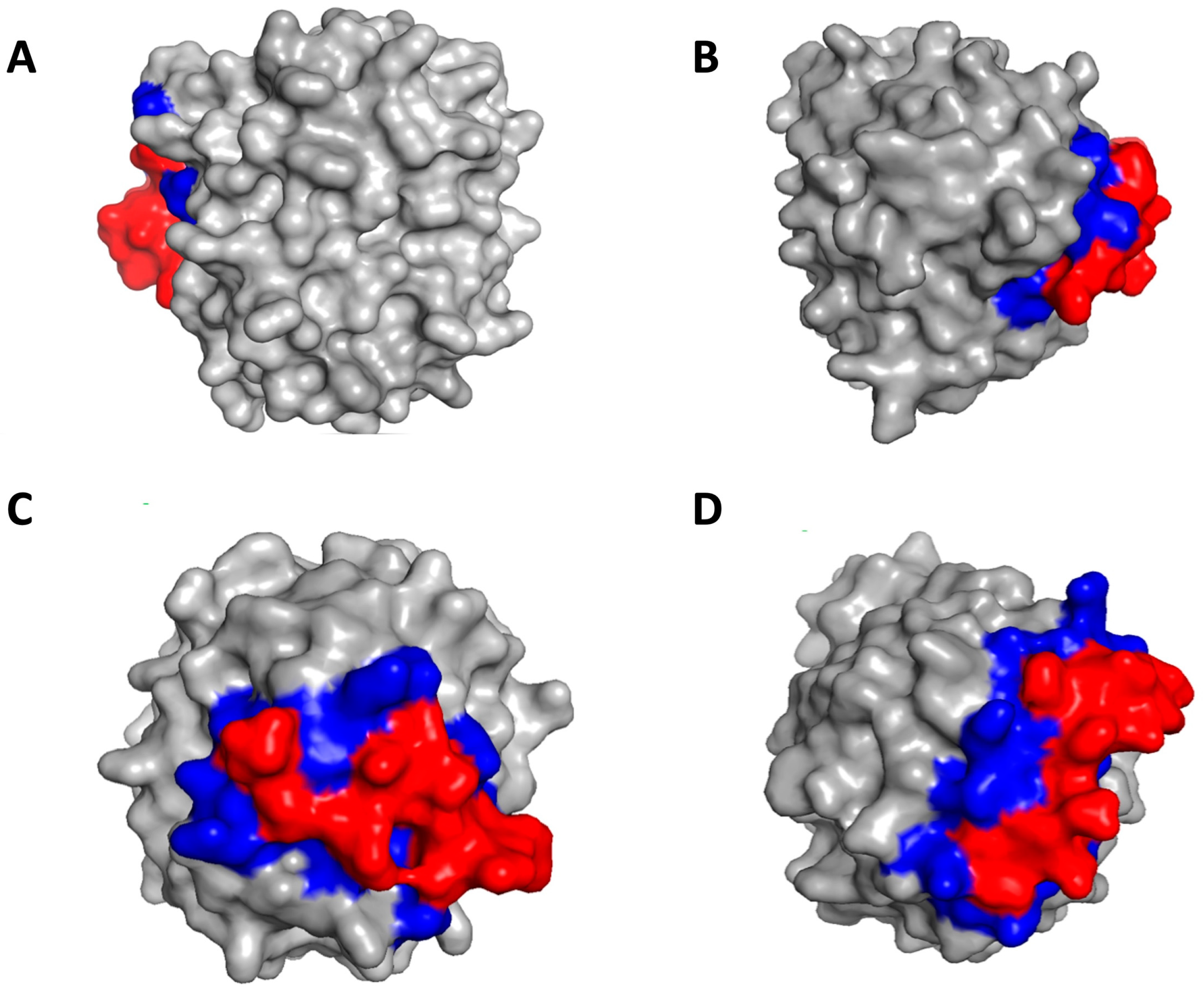 Bioengineering 10 01300 g009 Bioengineering 10 01300 g009