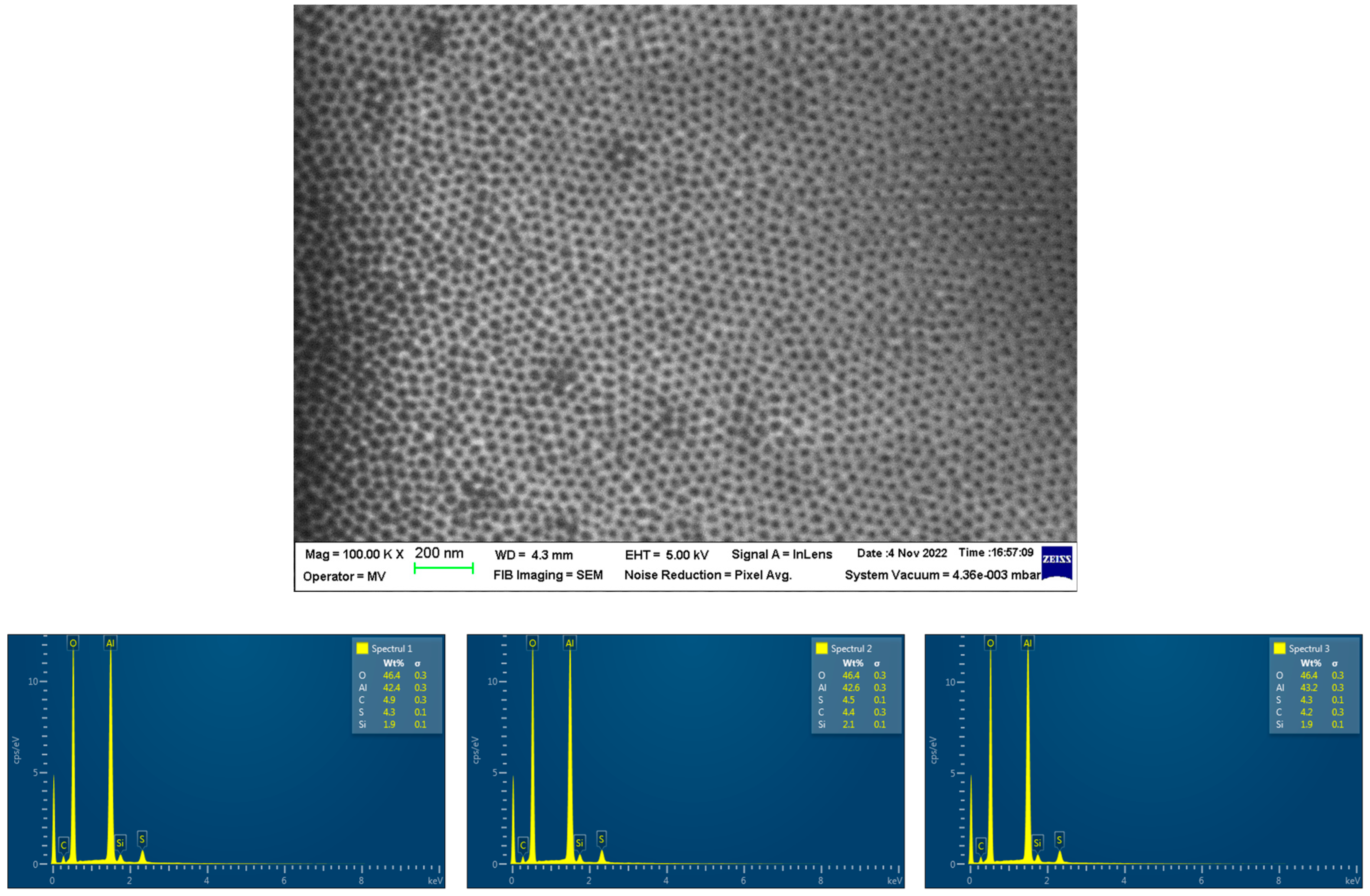 Bioengineering 10 01303 g005