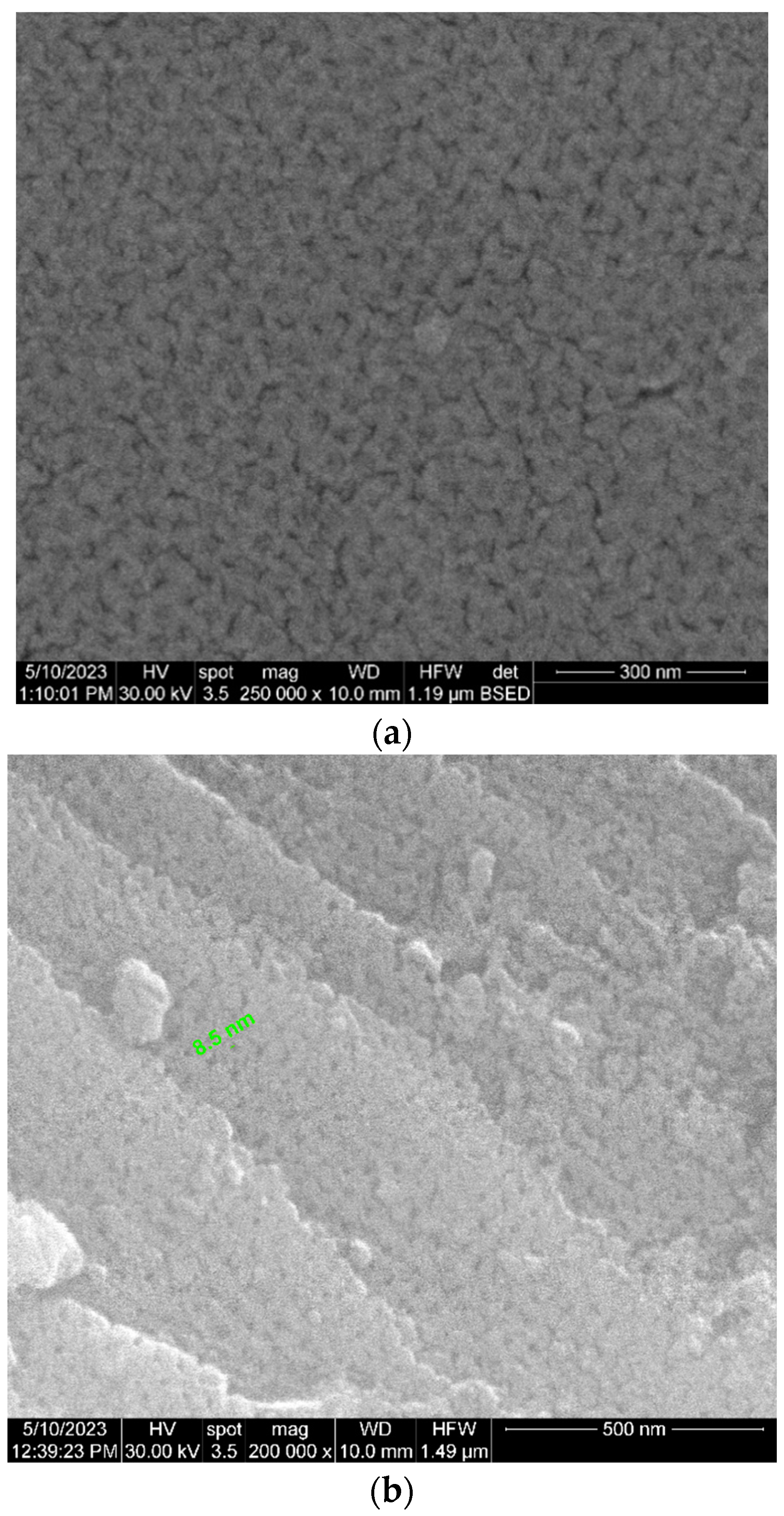 Bioengineering 10 01303 g009a