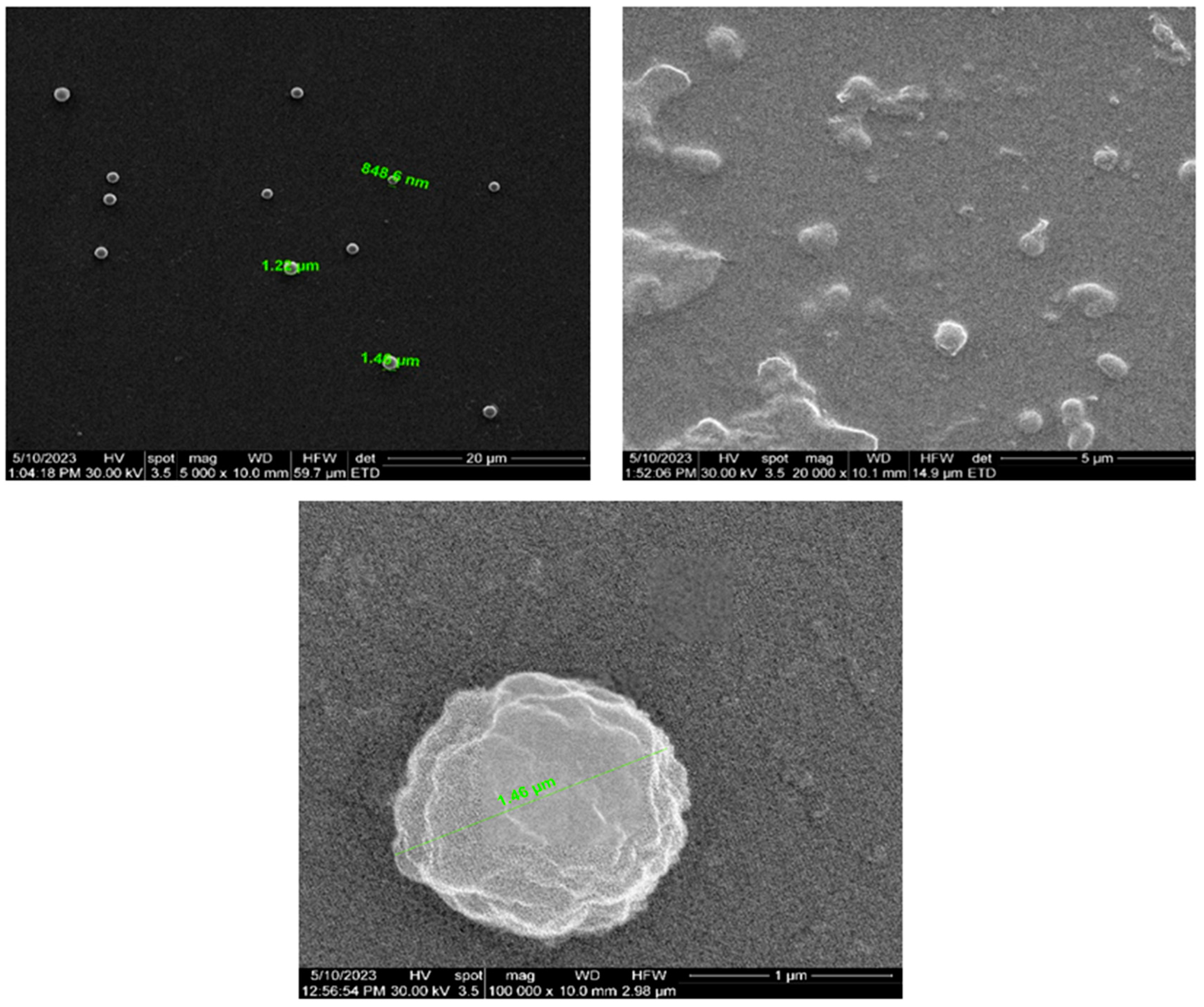 Bioengineering 10 01303 g011