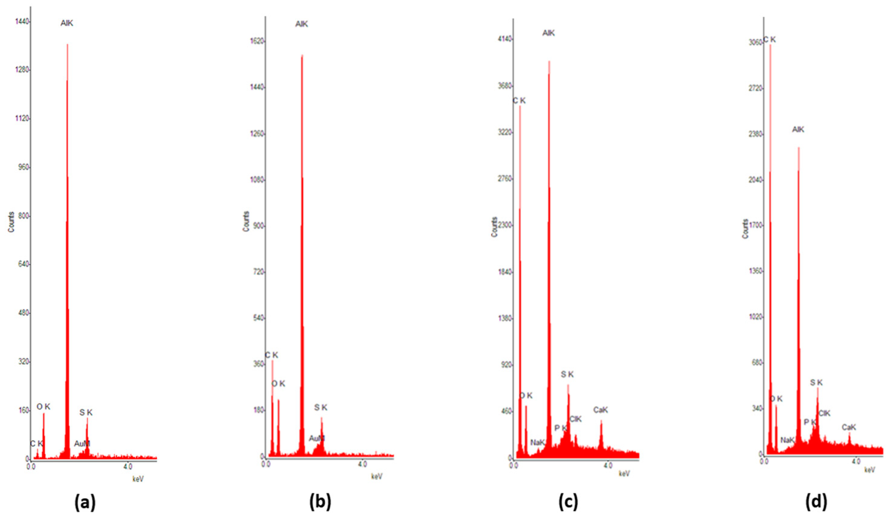 Bioengineering 10 01303 g012
