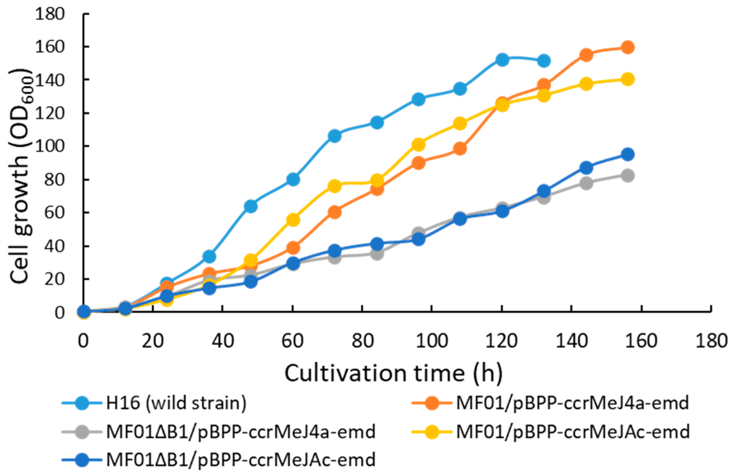 Bioengineering 10 01304 g003