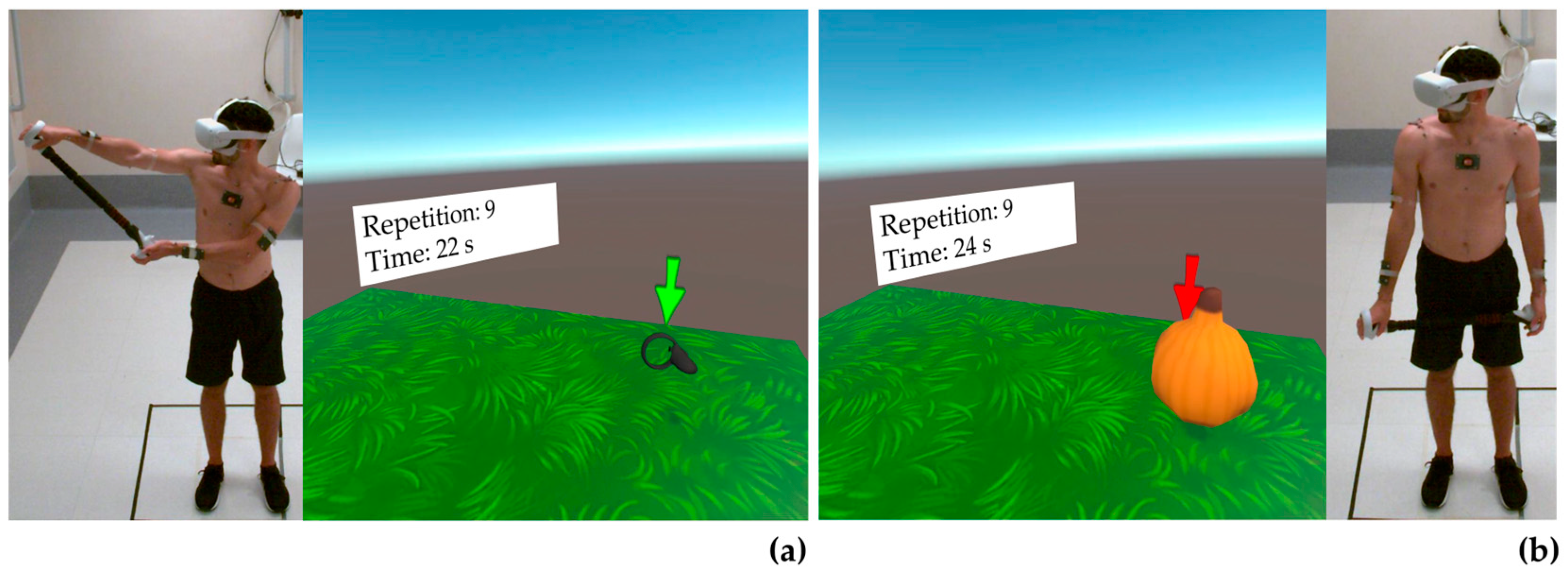 Bioengineering 10 01305 g004
