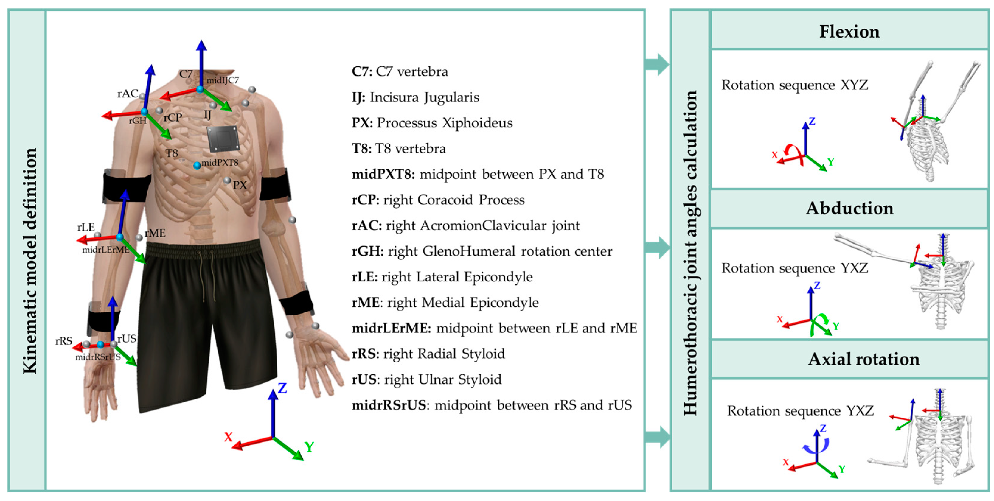 Bioengineering 10 01305 g006