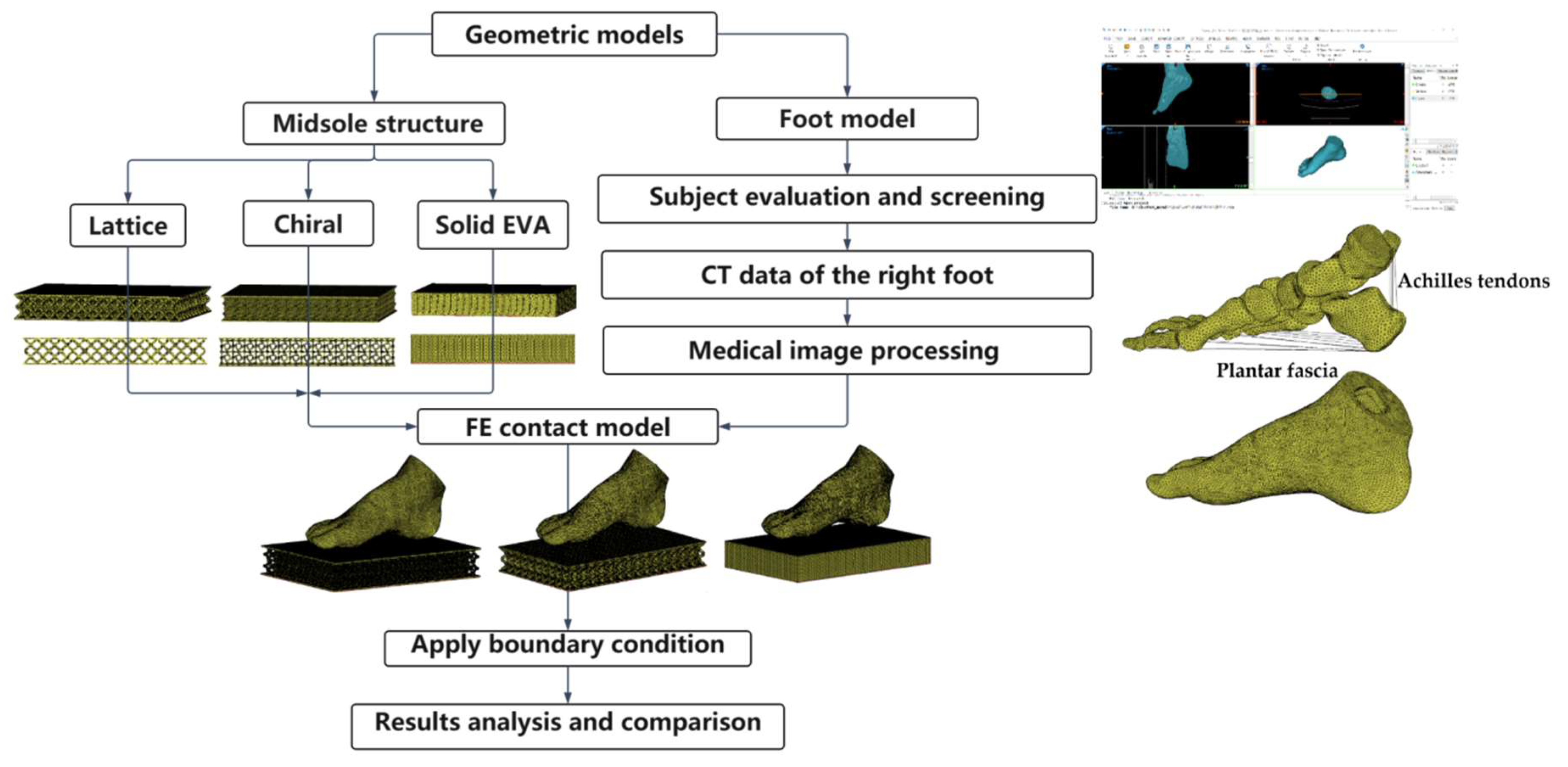 Bioengineering 10 01306 g004