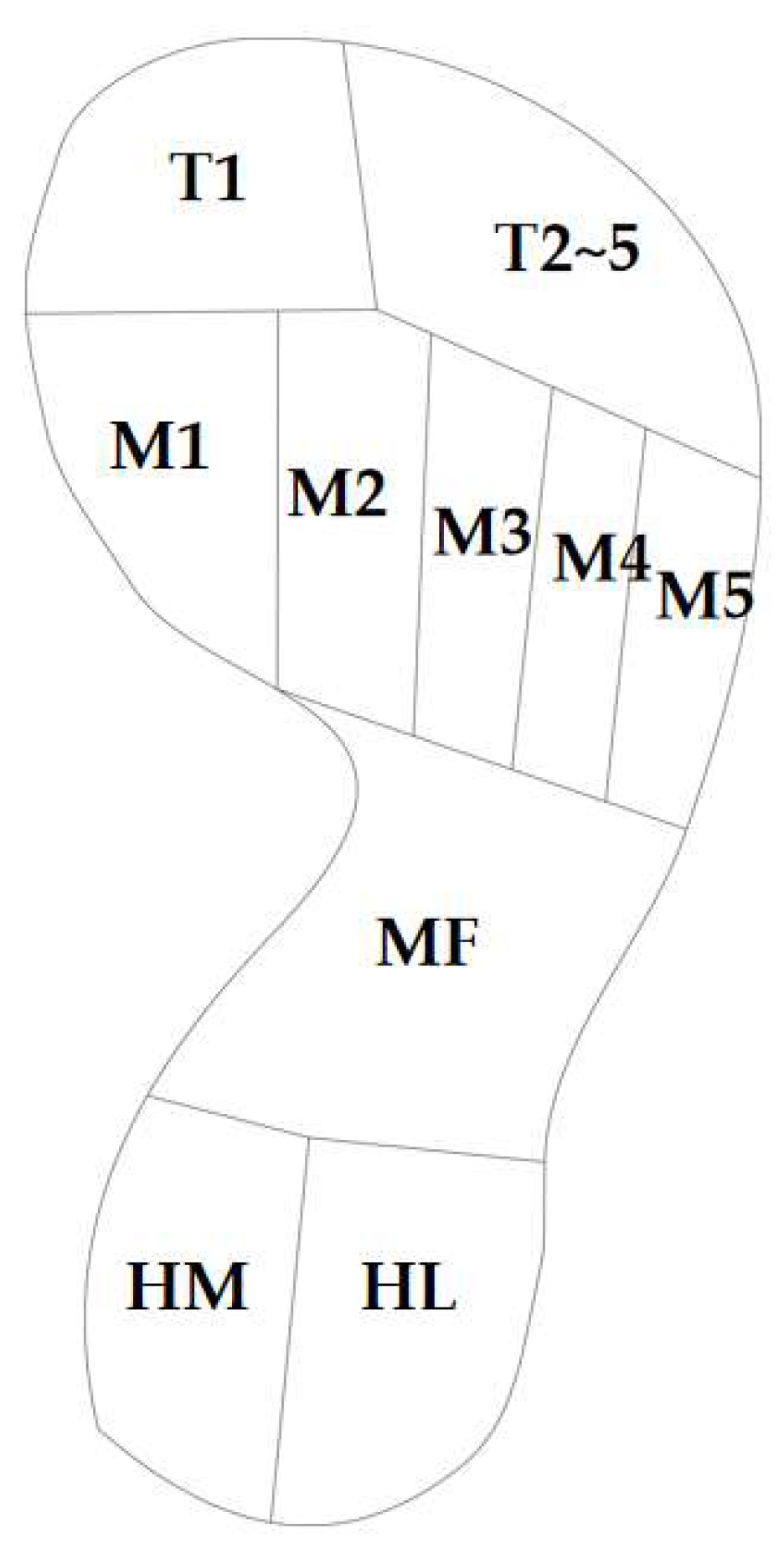Bioengineering 10 01306 g007