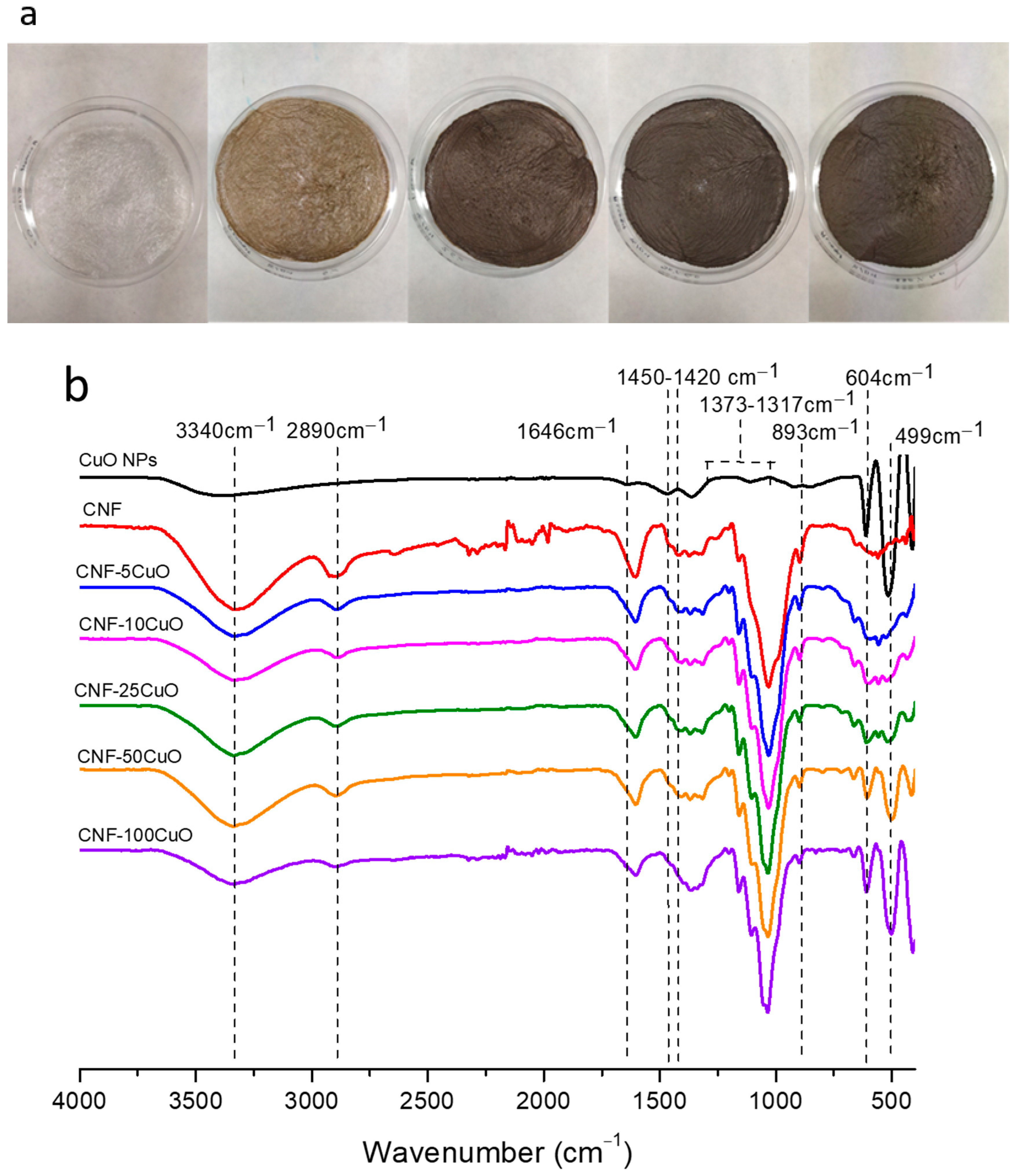 Bioengineering 10 01312 g004