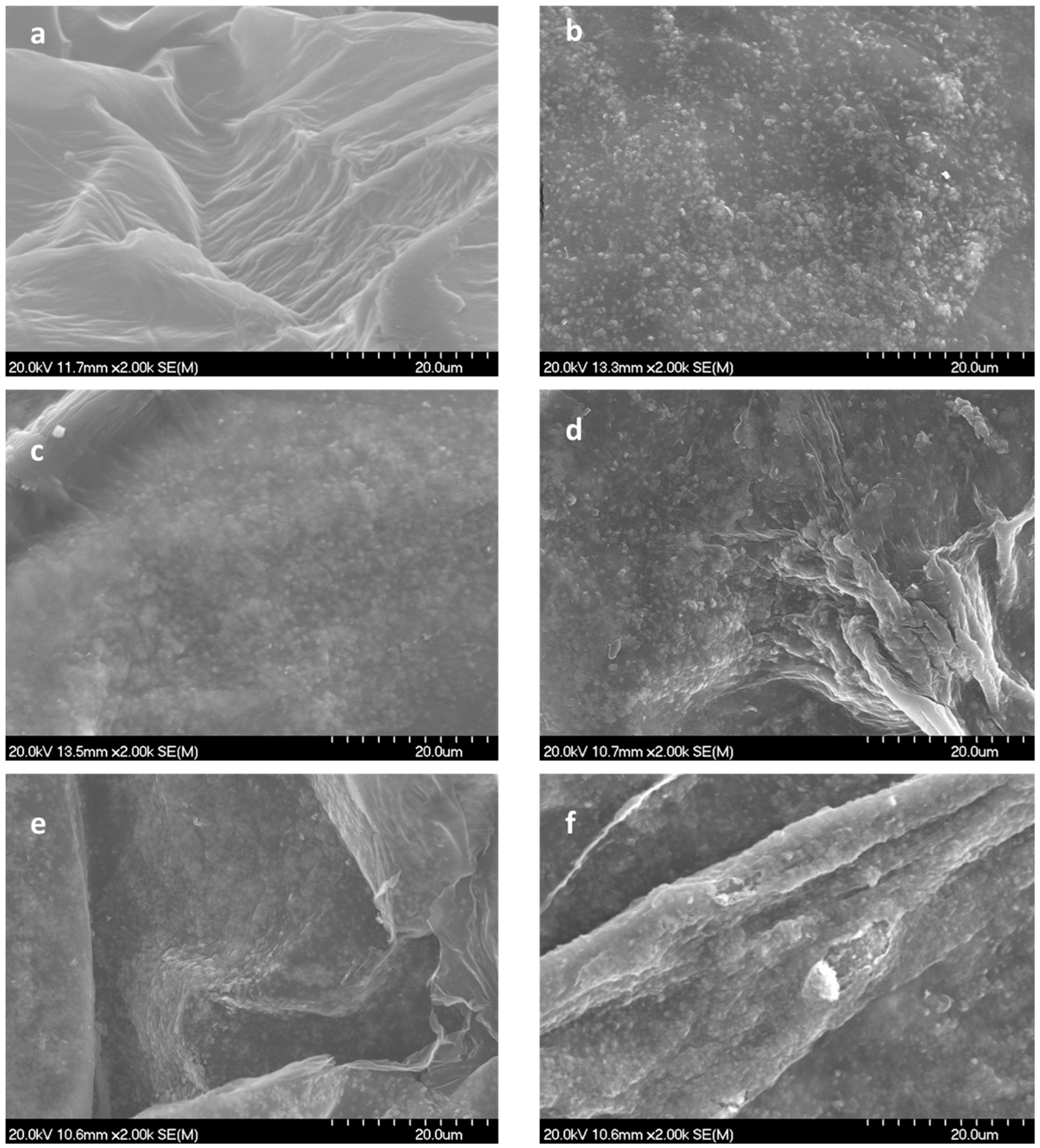 Bioengineering 10 01312 g005