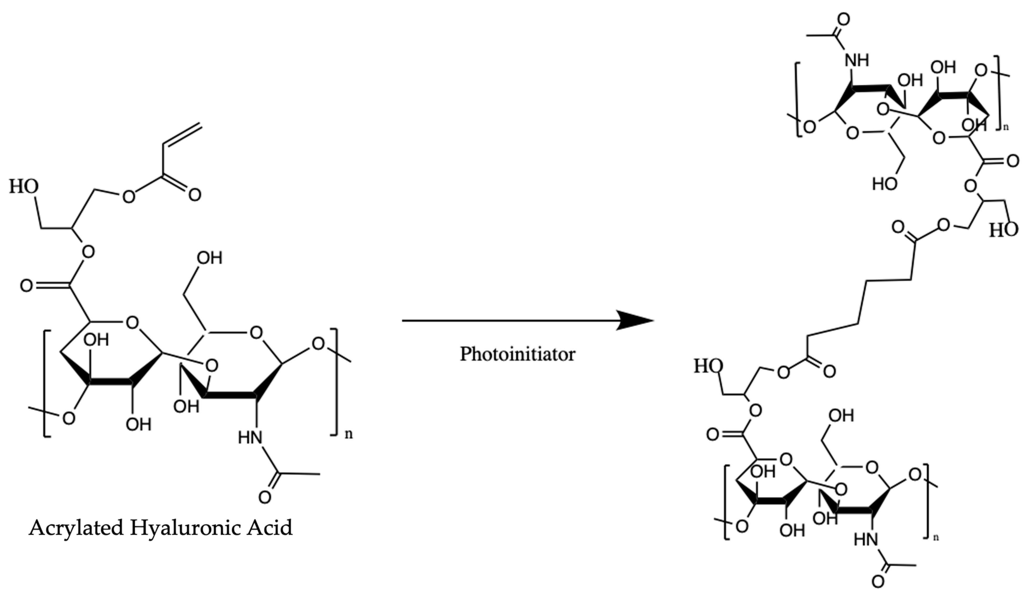 Bioengineering 10 01315 g001