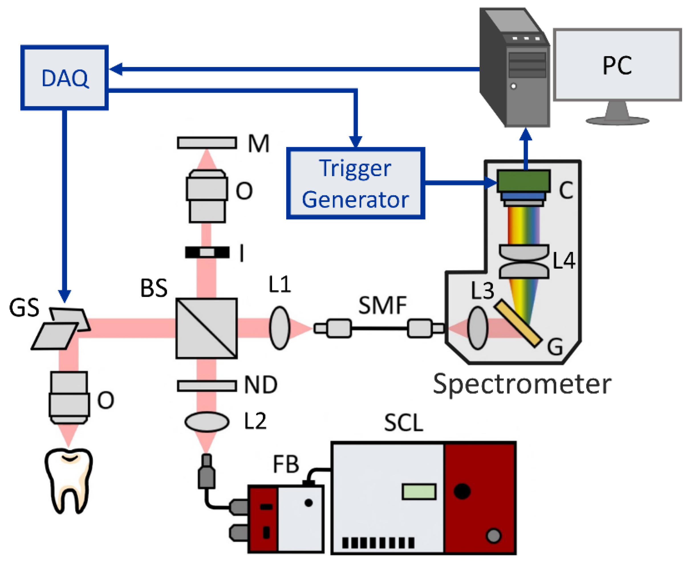 Bioengineering 10 01317 g001