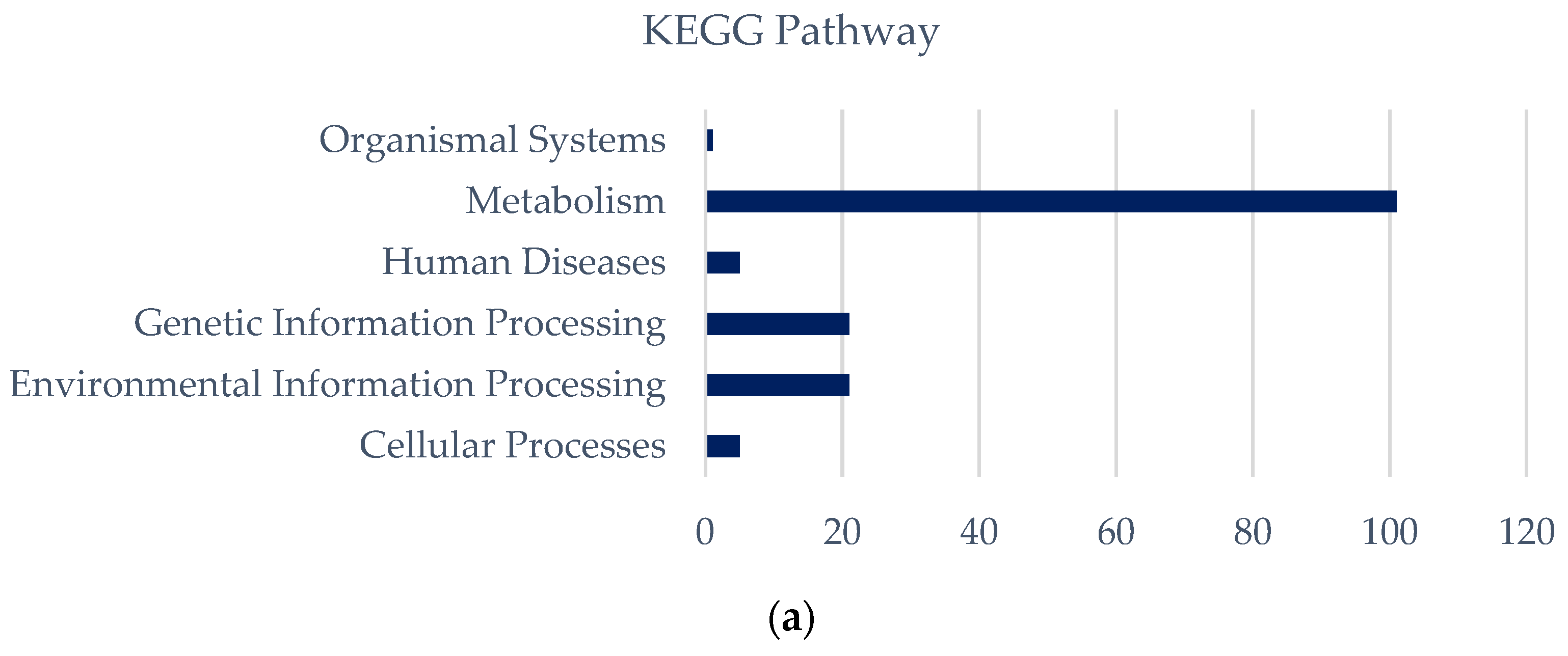 Bioengineering 10 01329 g008a Bioengineering 10 01329 g008a