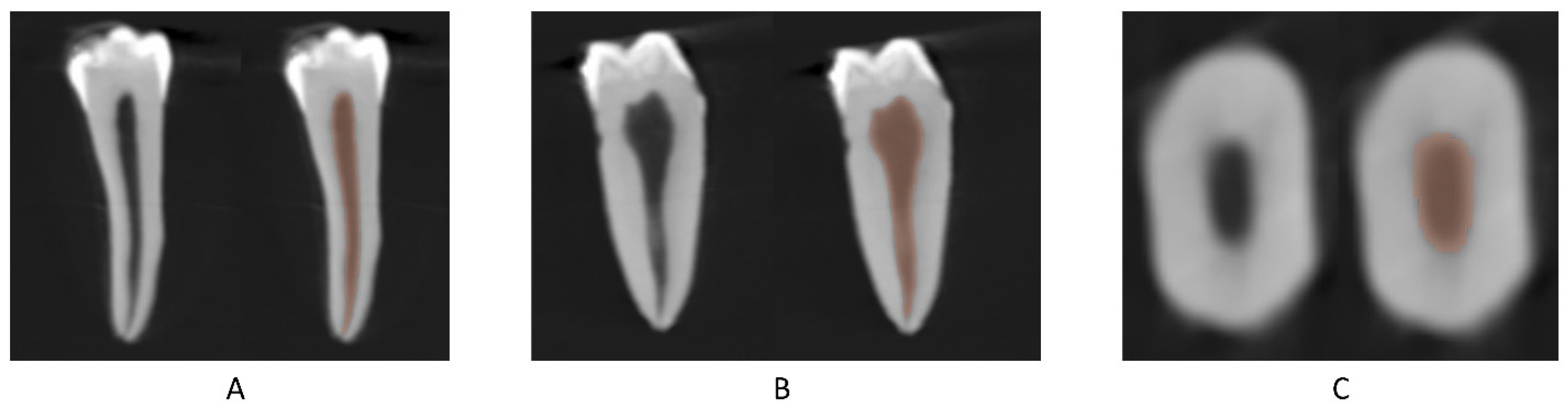 Bioengineering 10 01331 g001