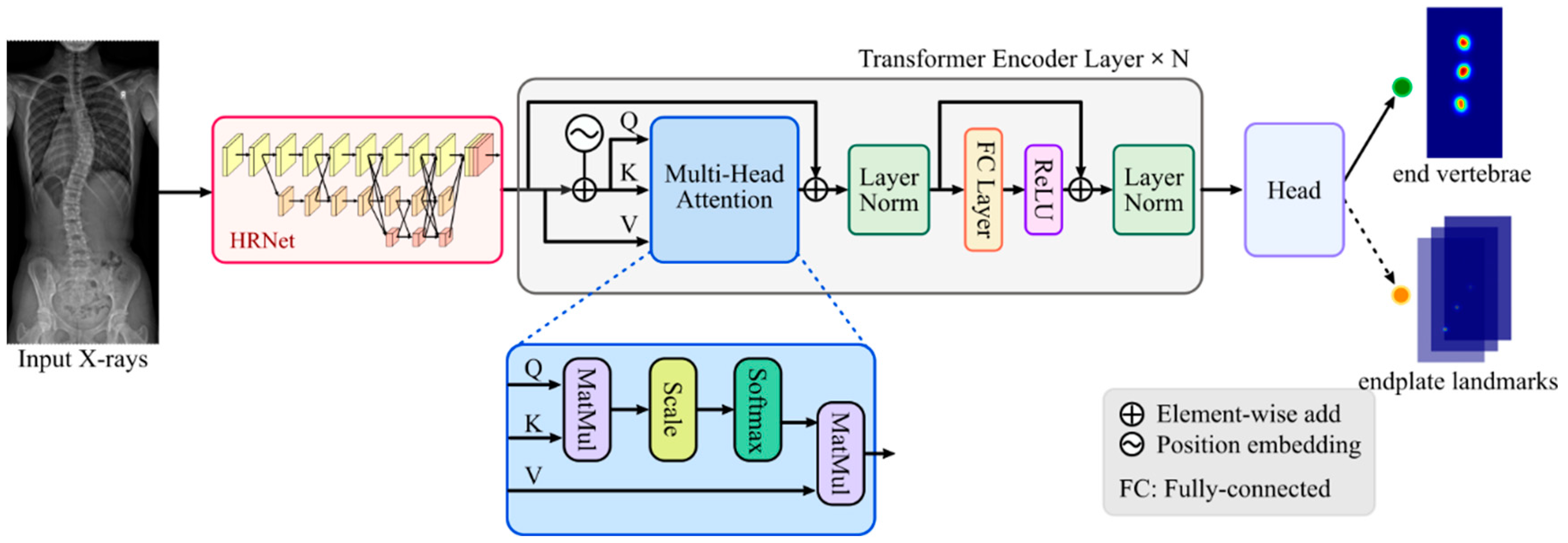 Bioengineering 10 01333 g001