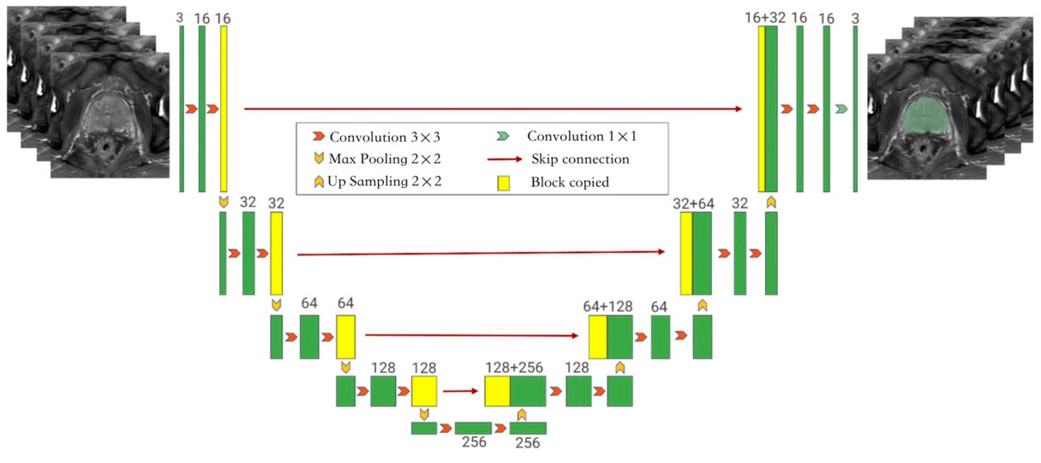 Bioengineering 10 01340 g002
