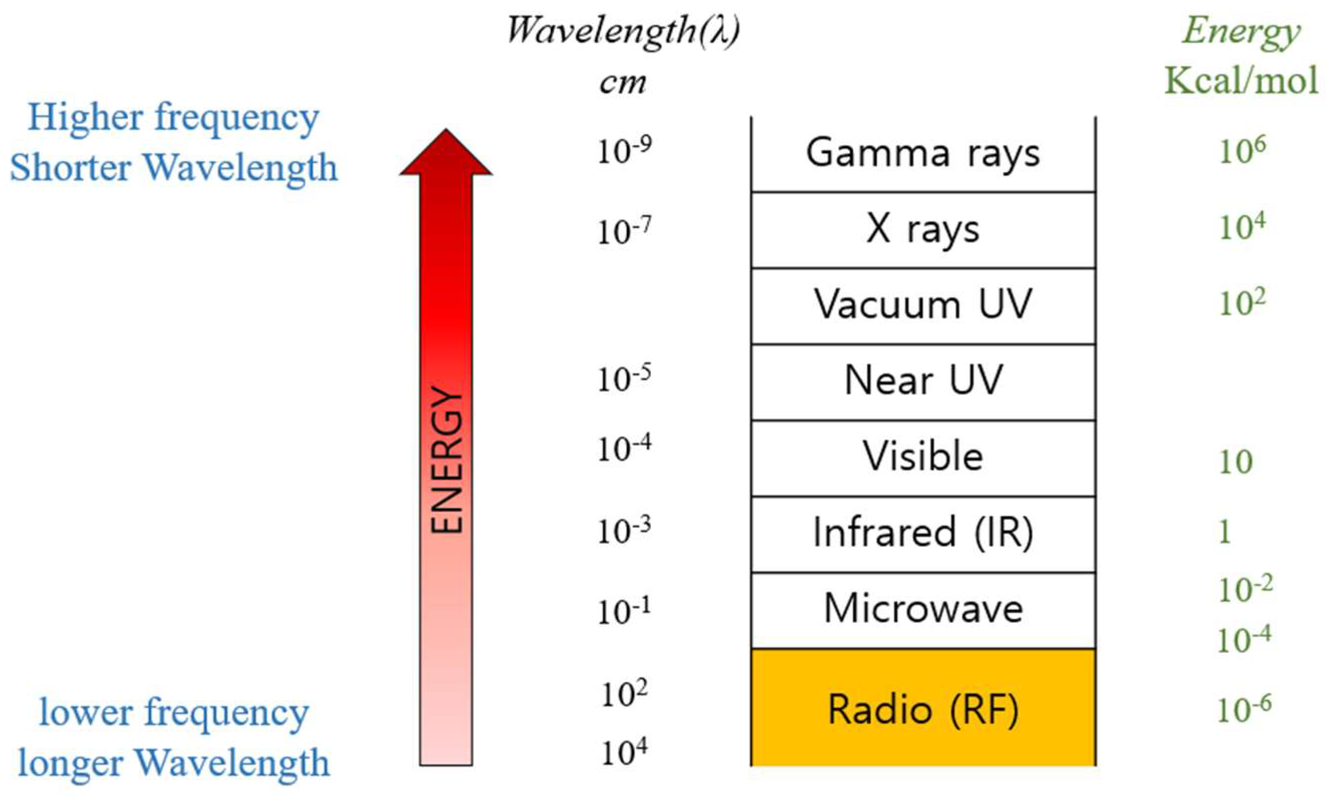 Bioengineering 10 01363 g003
