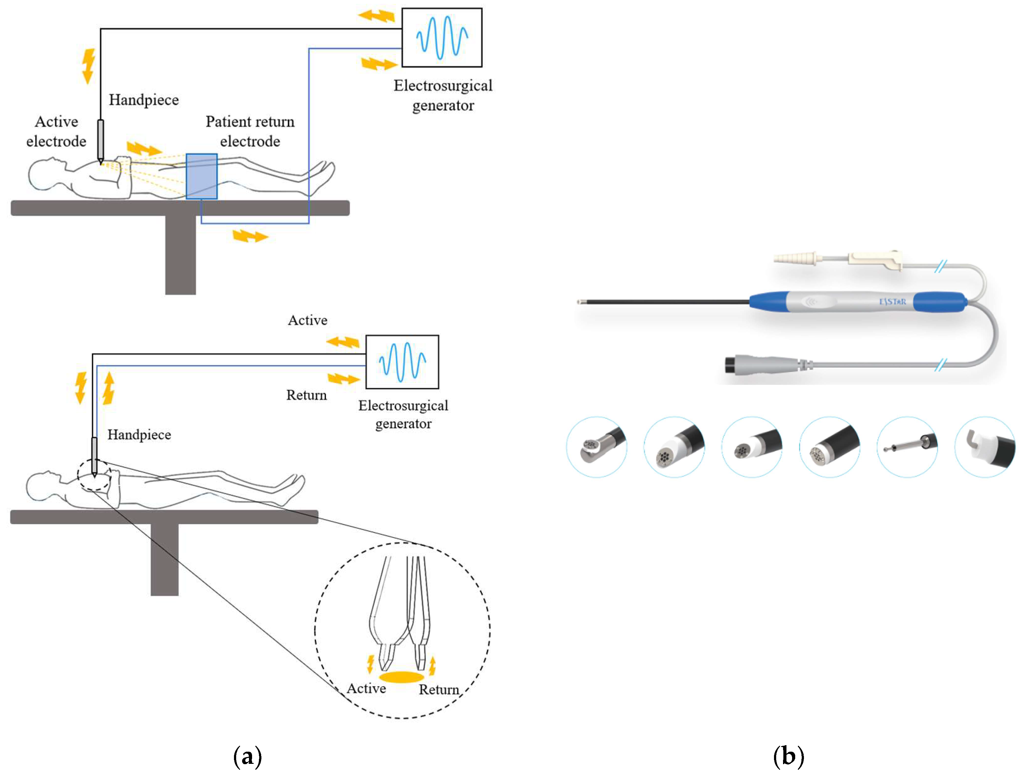 Bioengineering 10 01363 g004