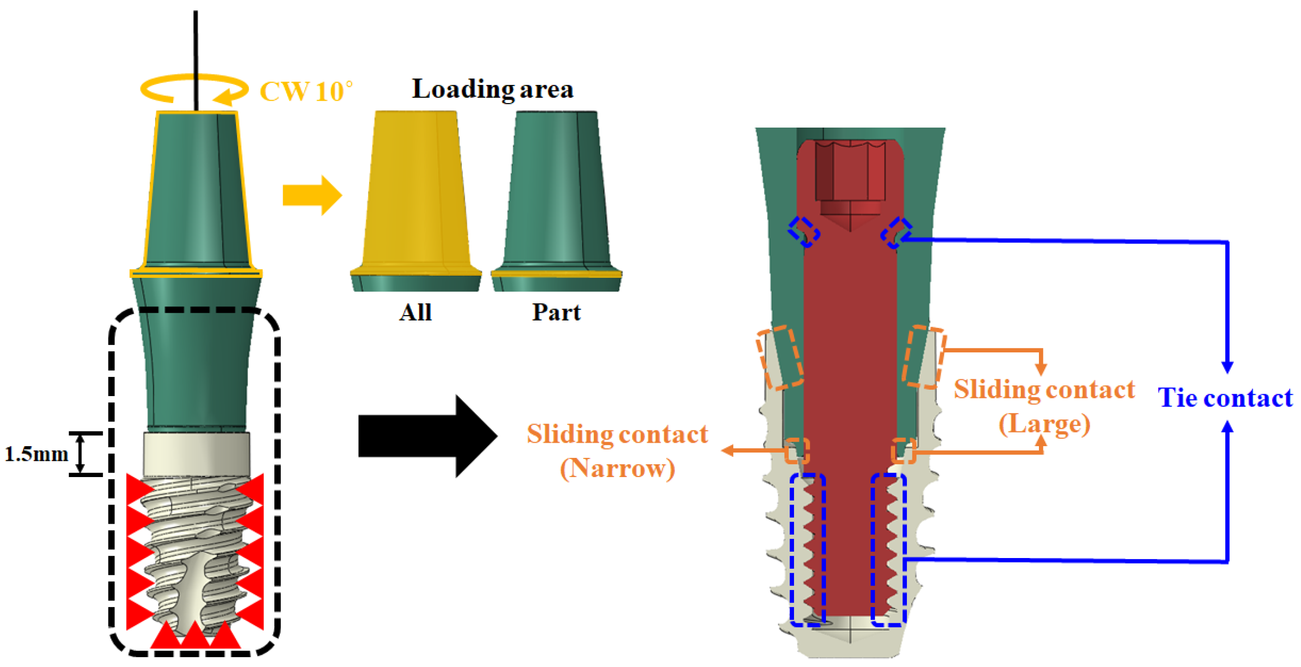 Bioengineering 10 01365 g003