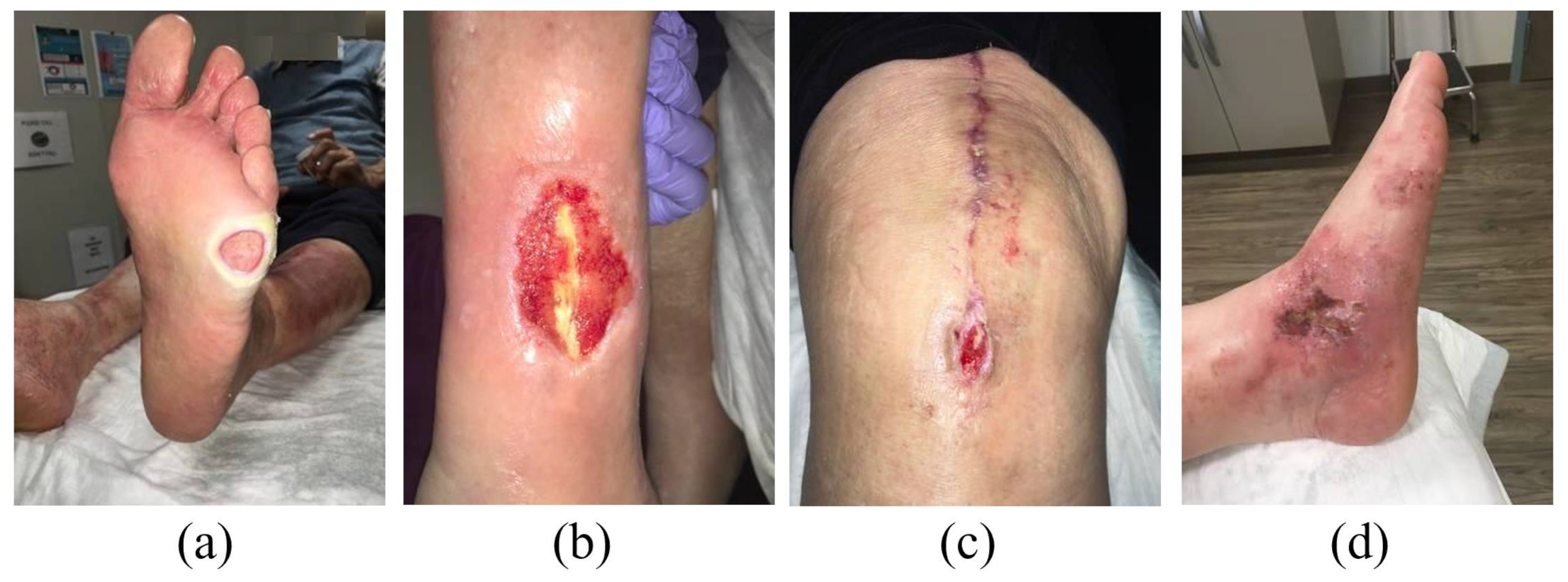 Bioengineering 10 01385 g003