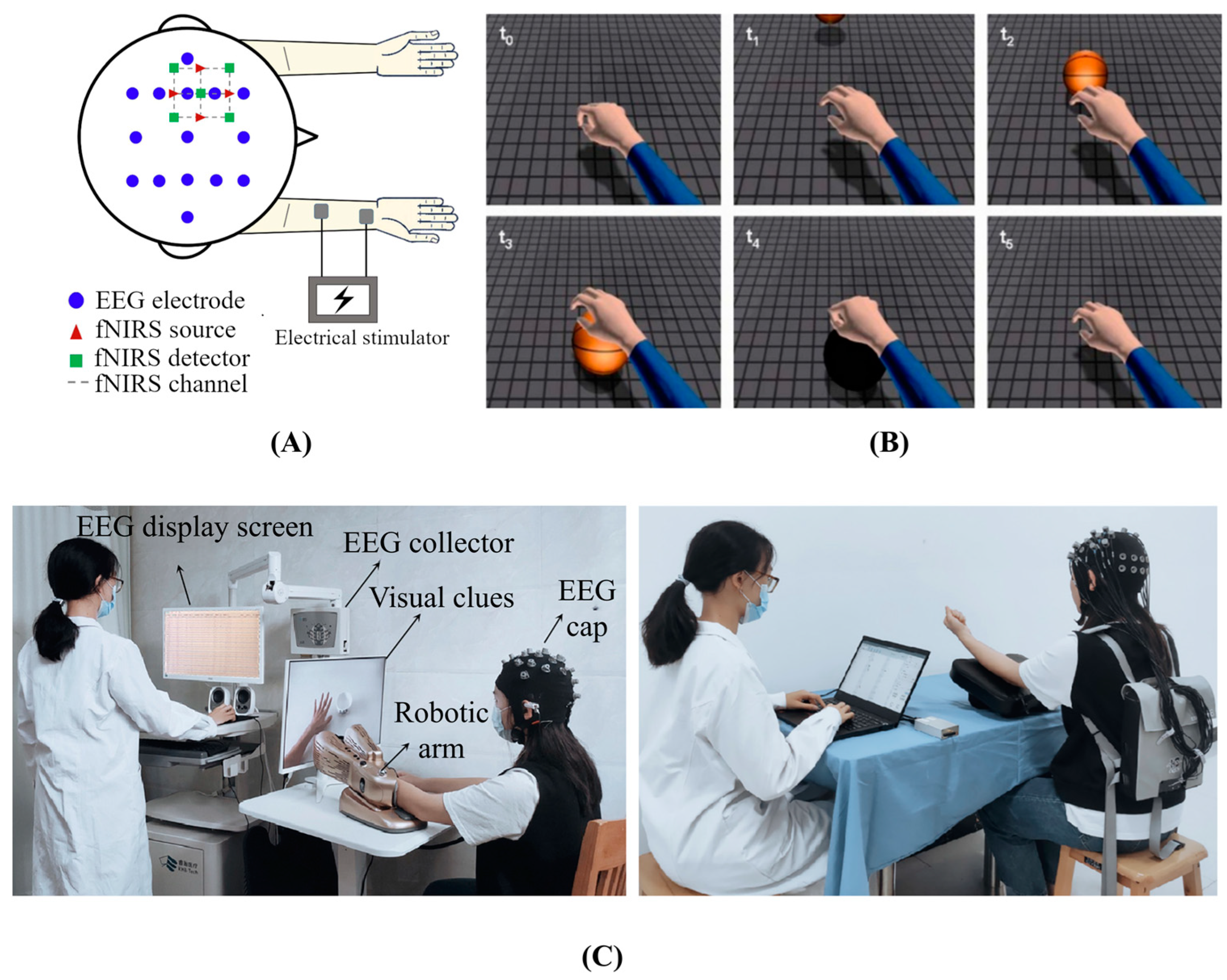 Bioengineering 10 01393 g005