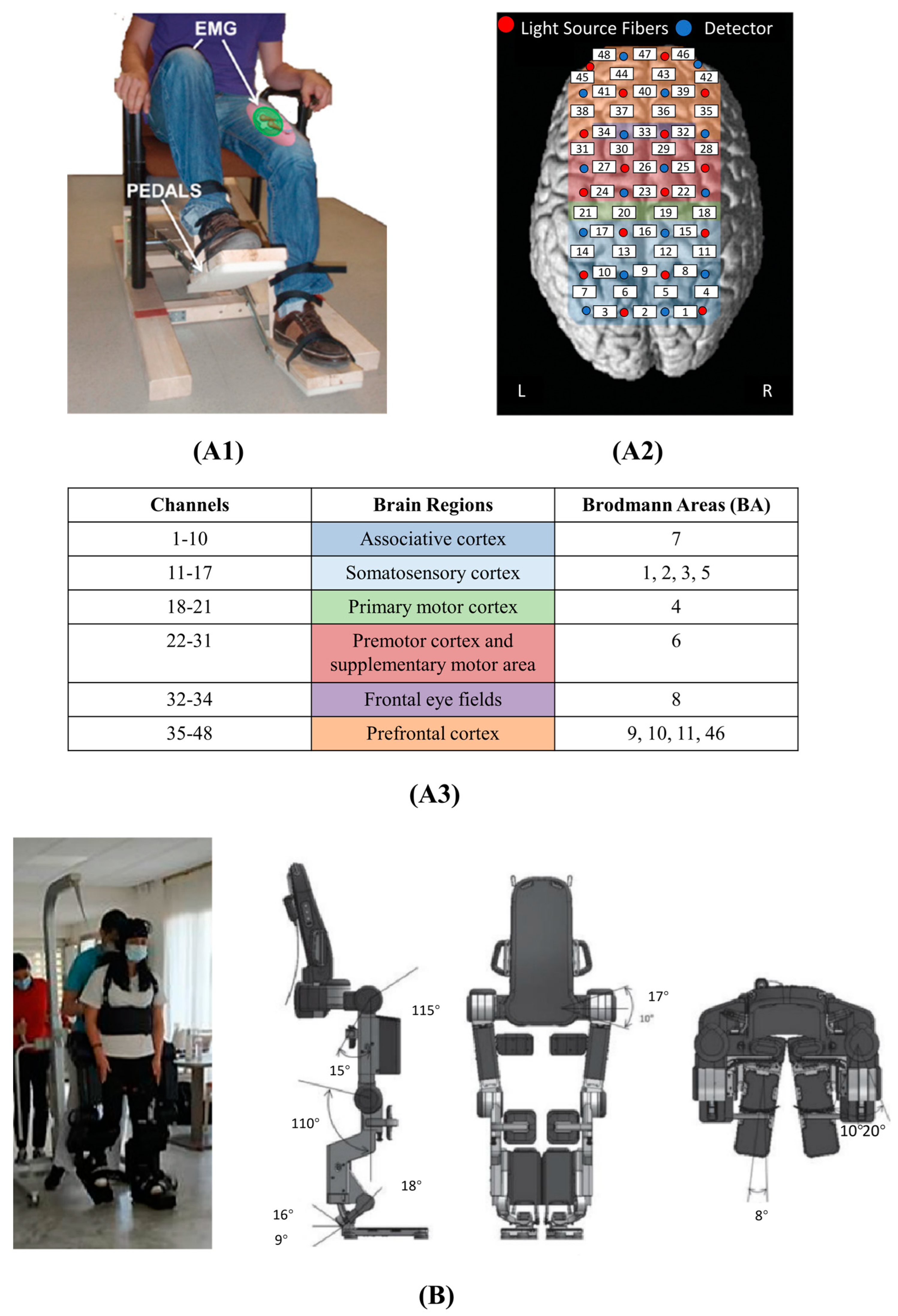 Bioengineering 10 01393 g006