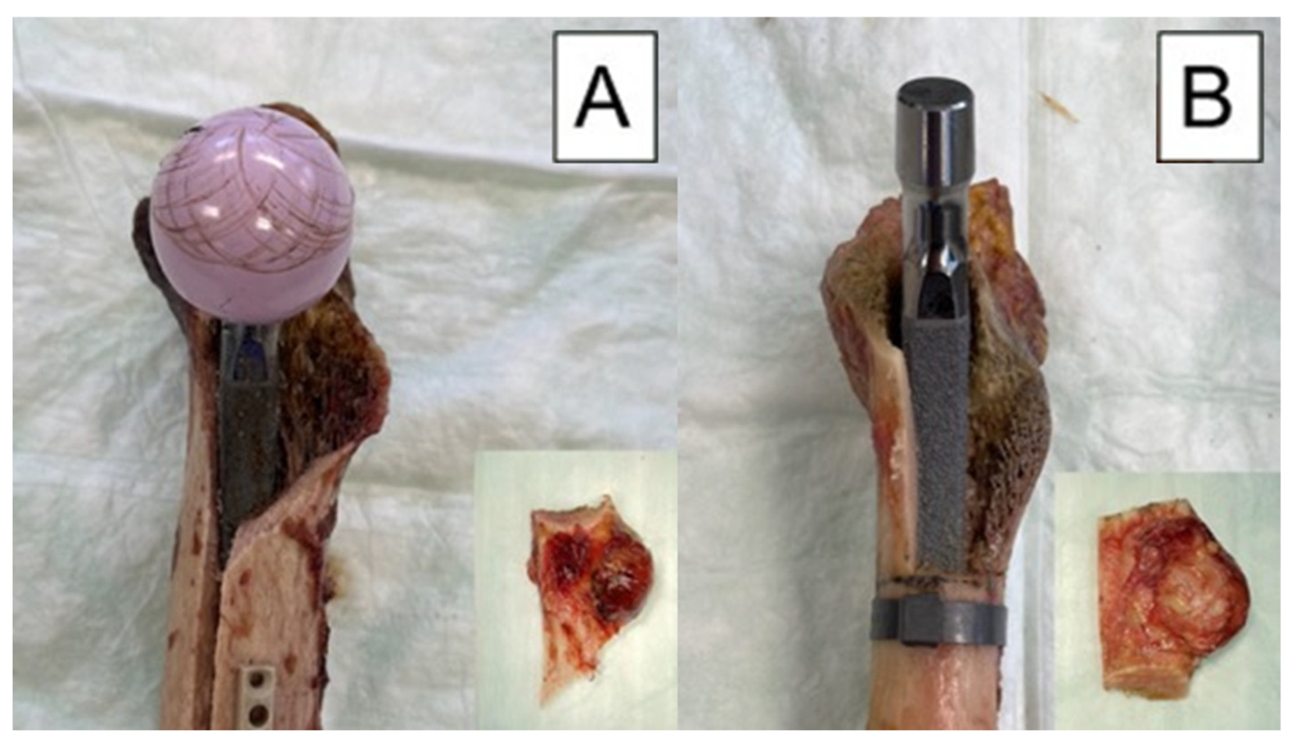 Bioengineering 10 01397 g008 Bioengineering 10 01397 g008
