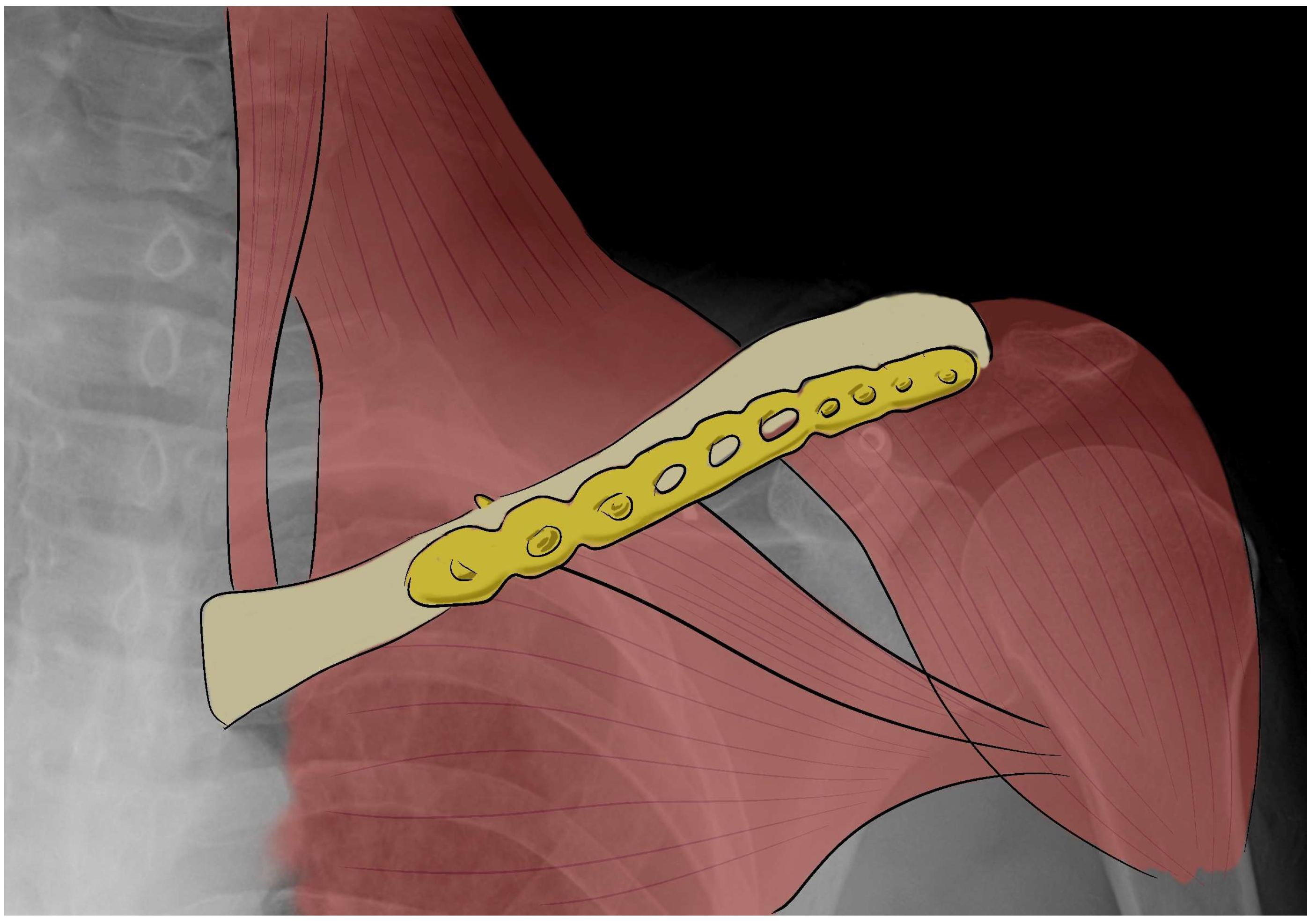 Bioengineering 10 01402 g002 Bioengineering 10 01402 g002