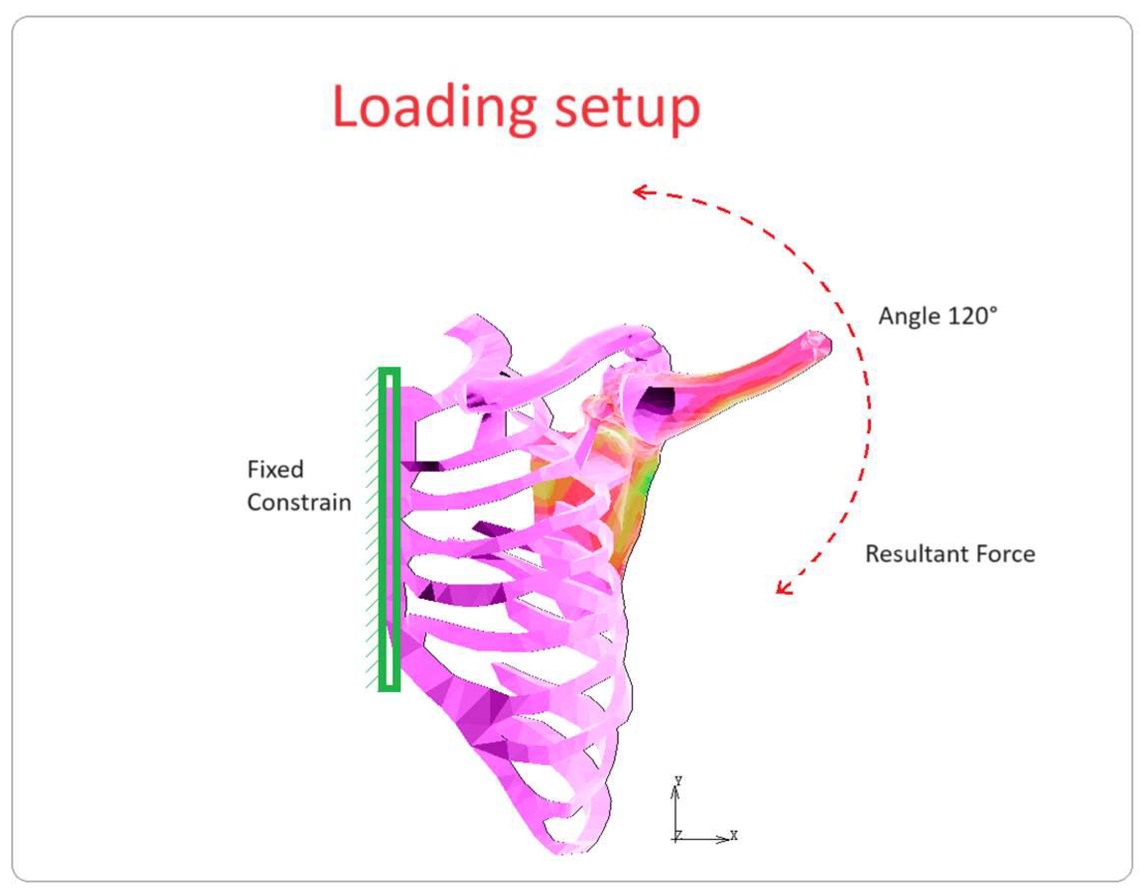 Bioengineering 10 01402 g004 Bioengineering 10 01402 g004