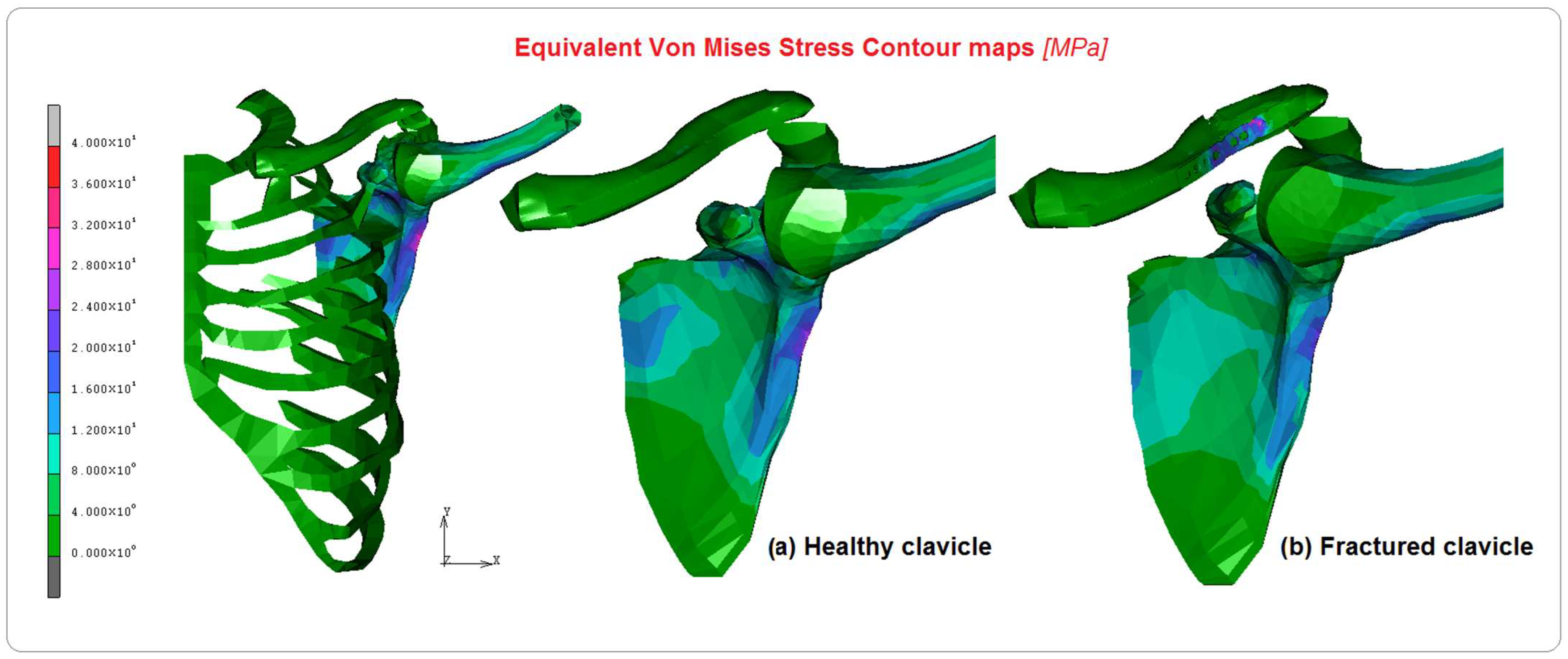Bioengineering 10 01402 g005 Bioengineering 10 01402 g005