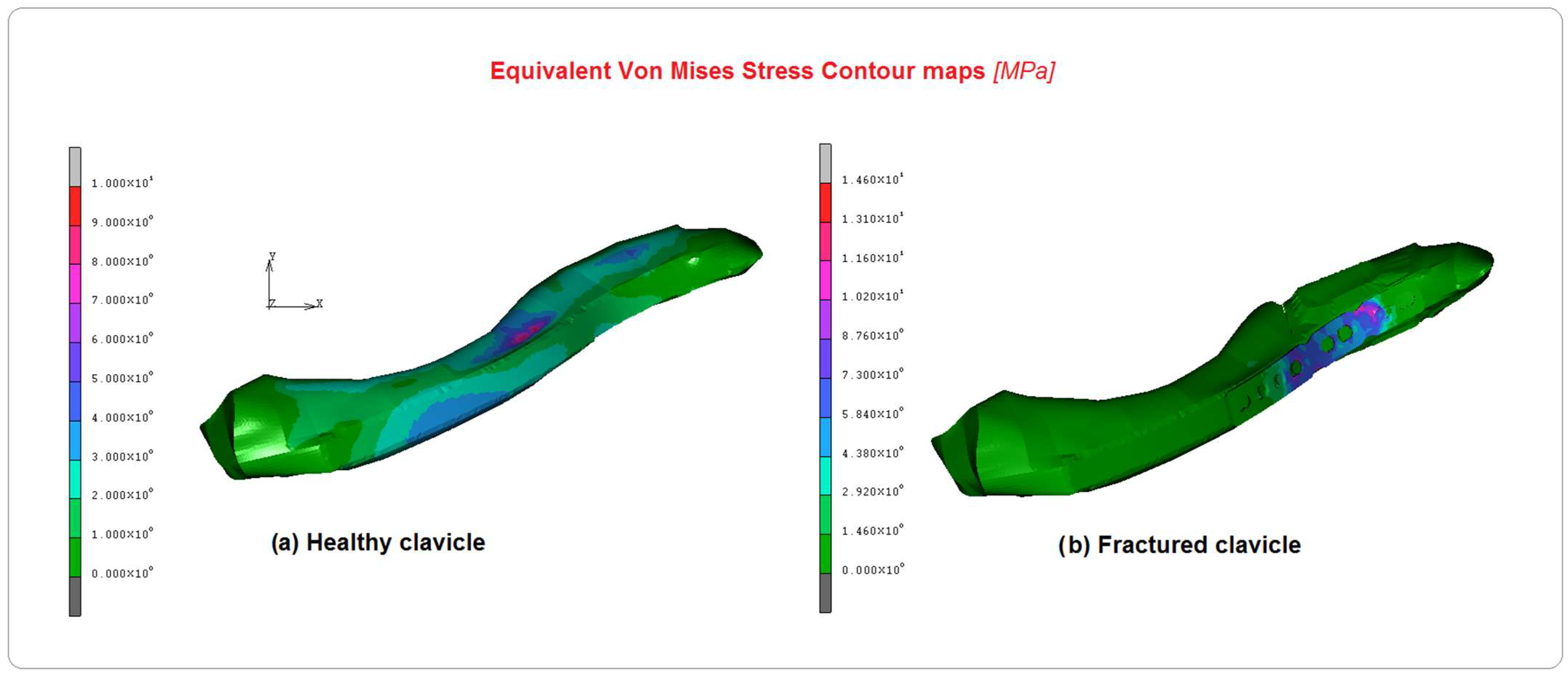 Bioengineering 10 01402 g006 Bioengineering 10 01402 g006